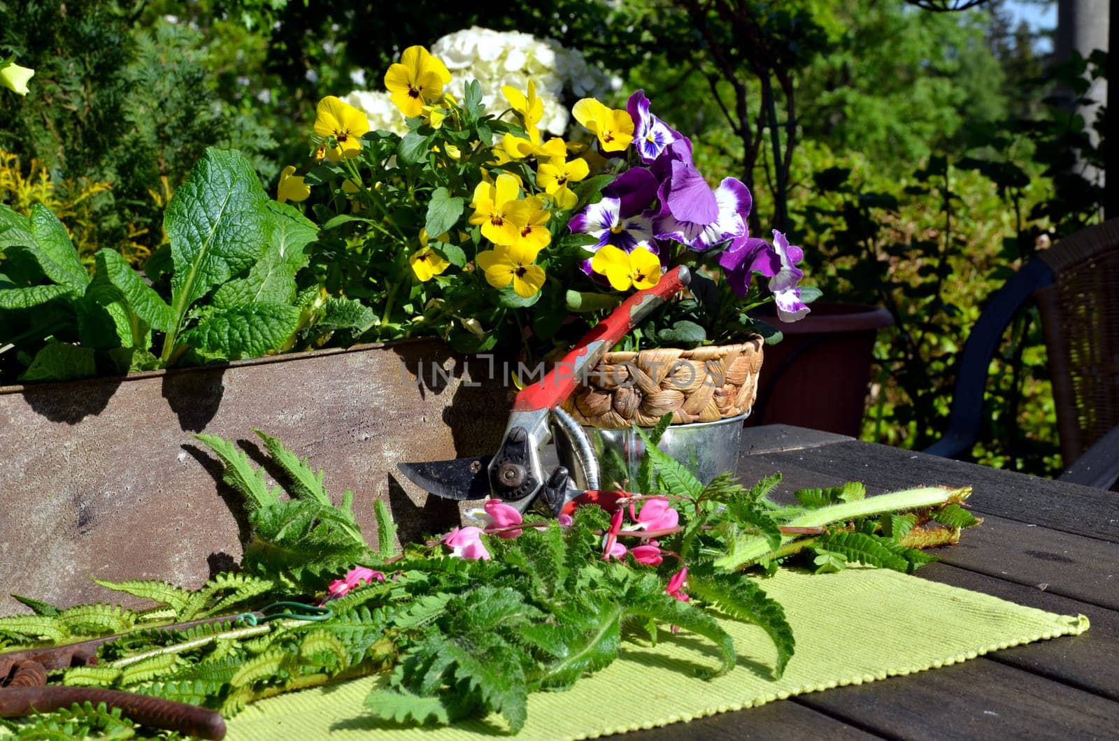 Romantic Floral Garden Terrace with Decoration