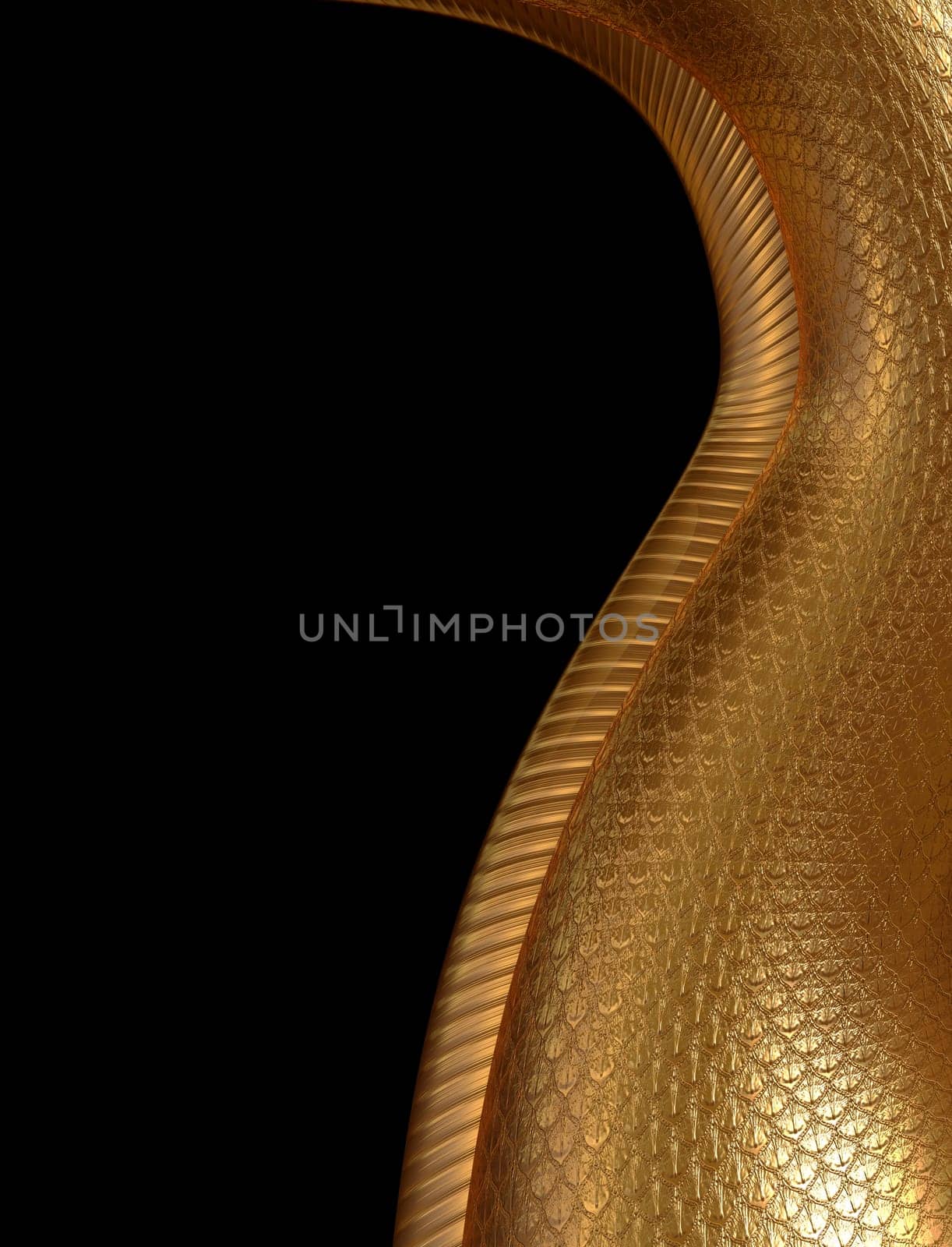 Stylized illustration showing the soft underbelly of a golden dragon