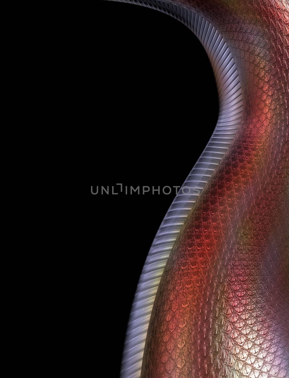 Stylized illustration showing the soft underbelly of a red dragon