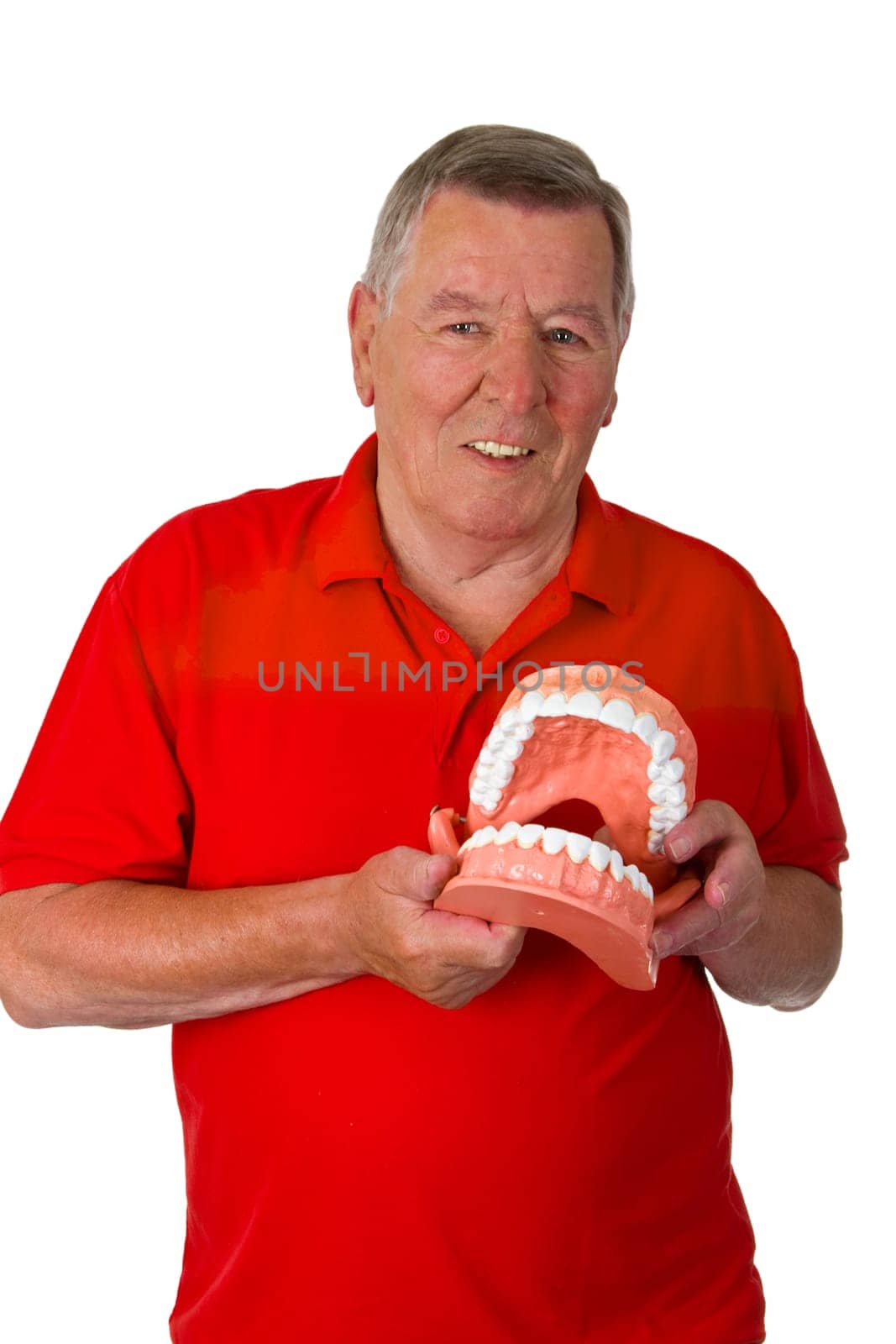 Friendly senior holding model of a set of teeth