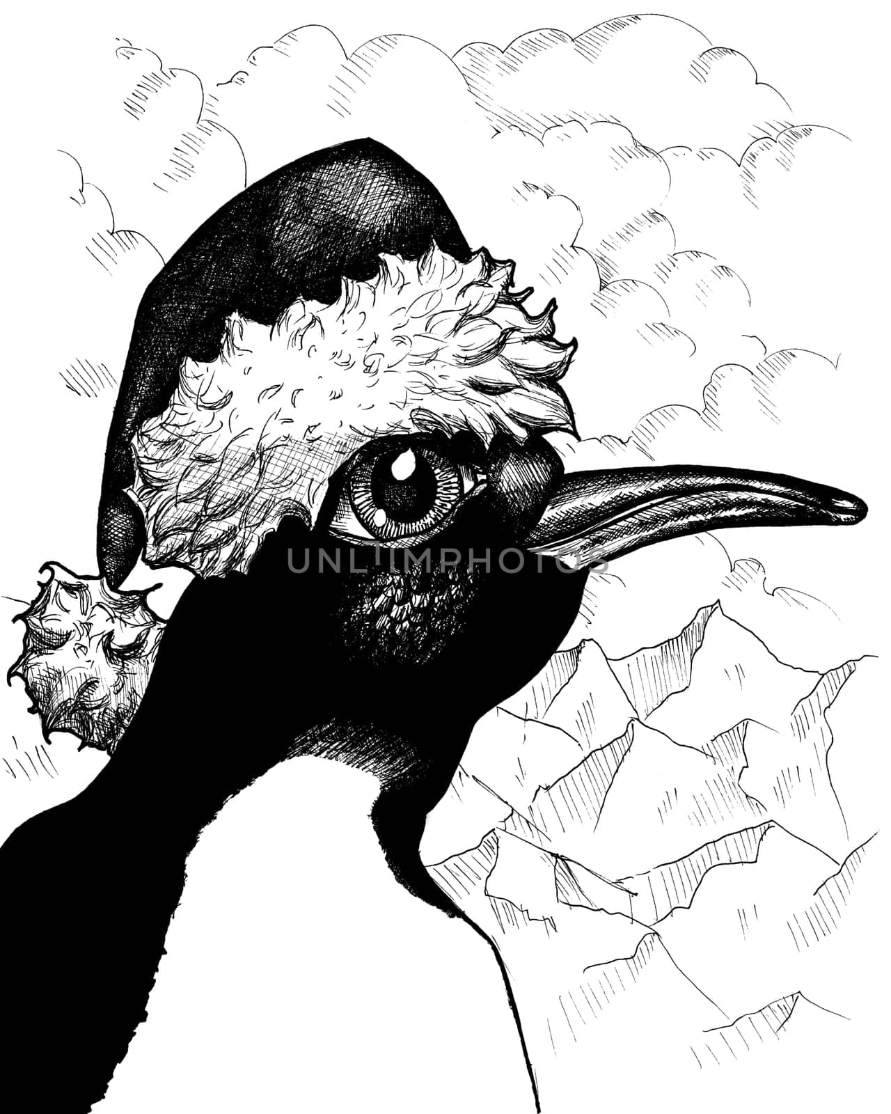Pen and ink illustration of a Christmas penguin
