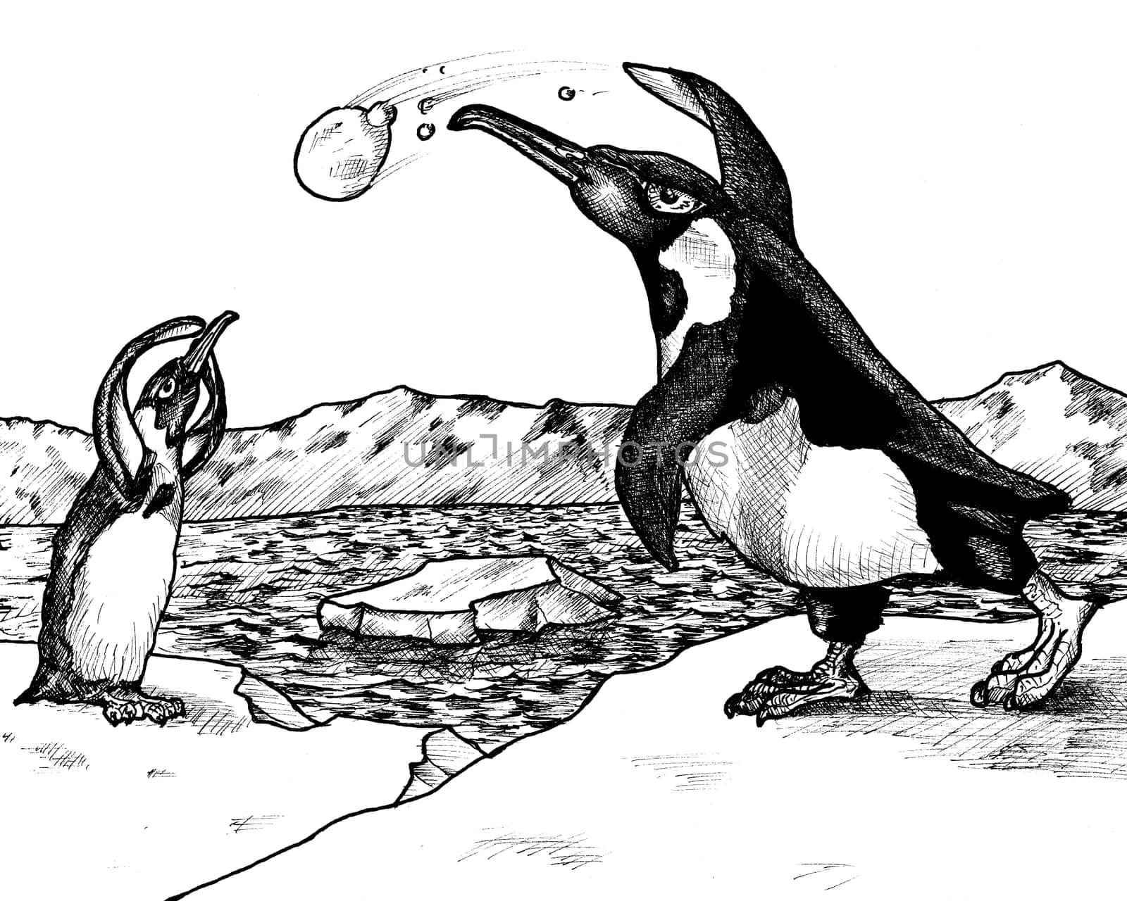 Ink drawing of two penguins having a snowball fight at the North Pole.