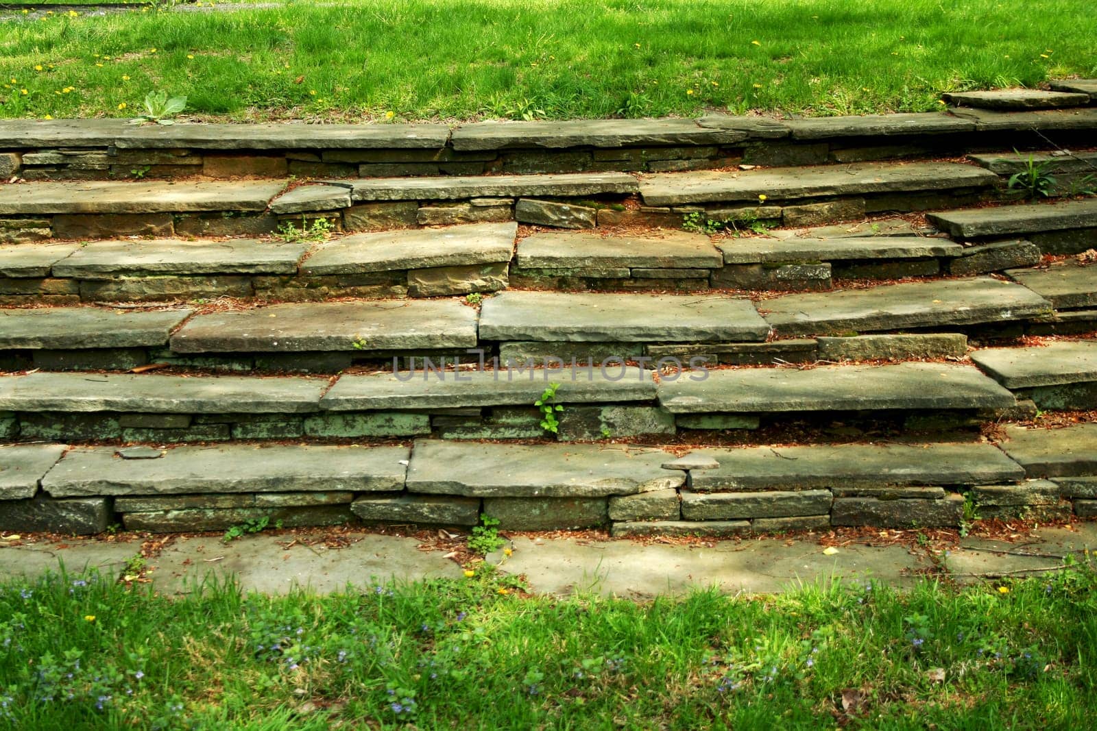 A Old stone stairway with grass