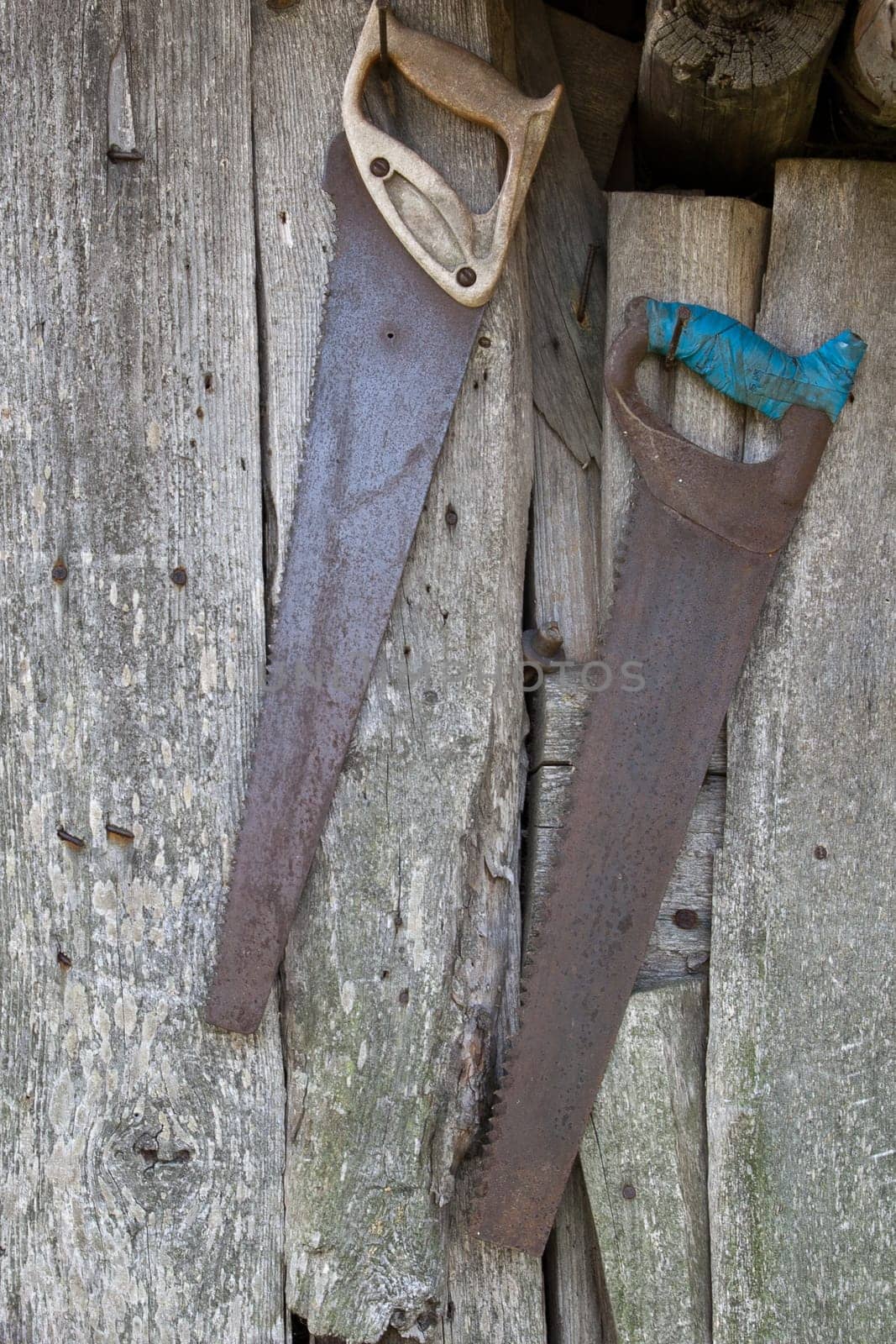 old hand saws attach on barn wall