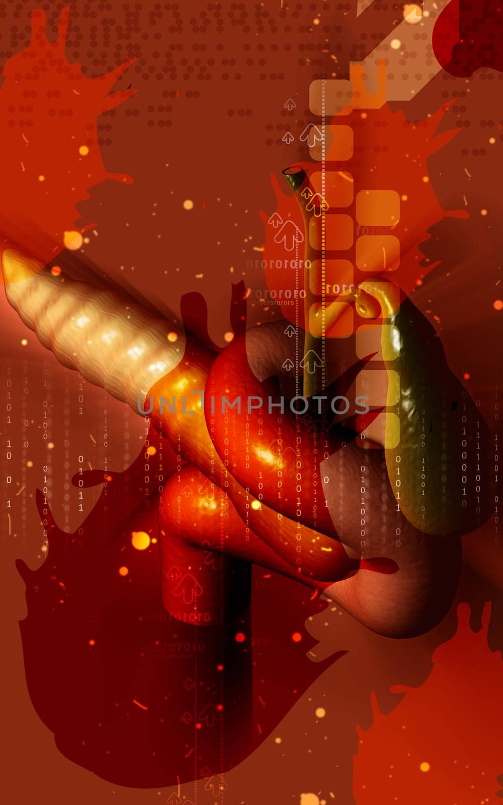 Digital illustration of pancreas in colour background