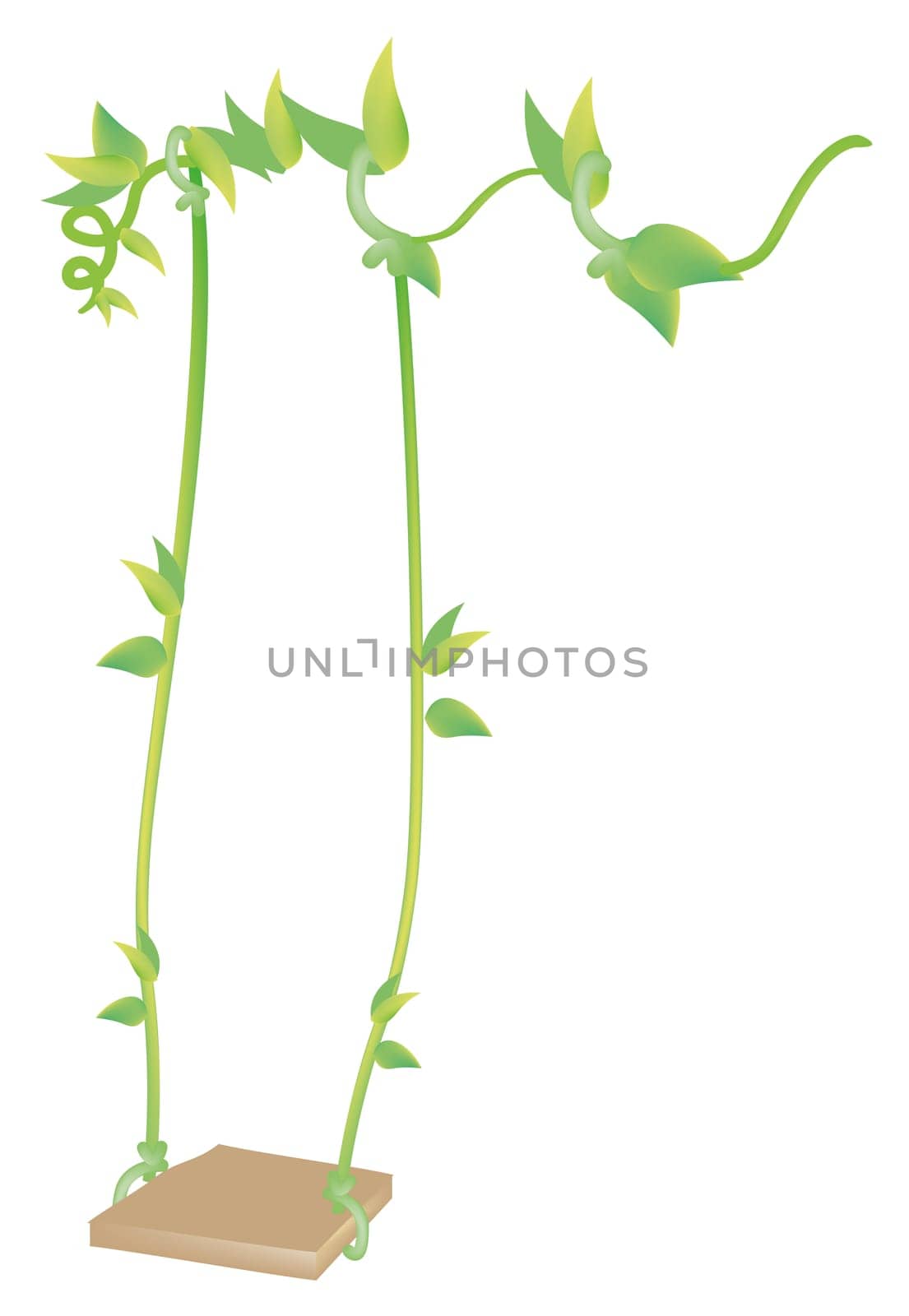 illustration drawing of swing with vines isolate in a white background