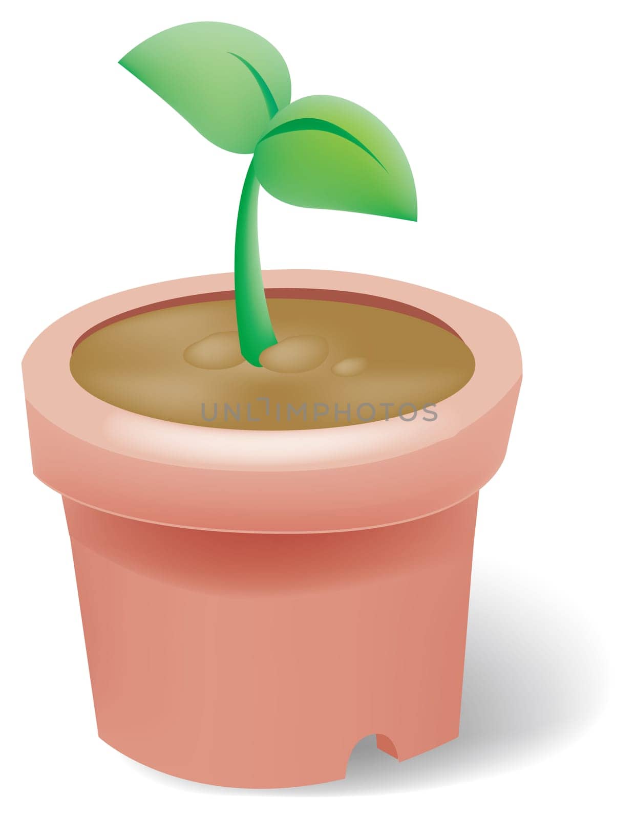 illustration drawing of green seeding isolate in a flowerpot