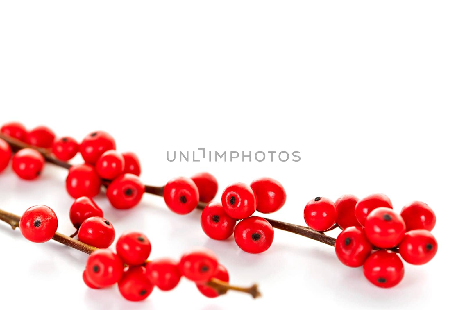Winterberry Christmas branches with red holly berries