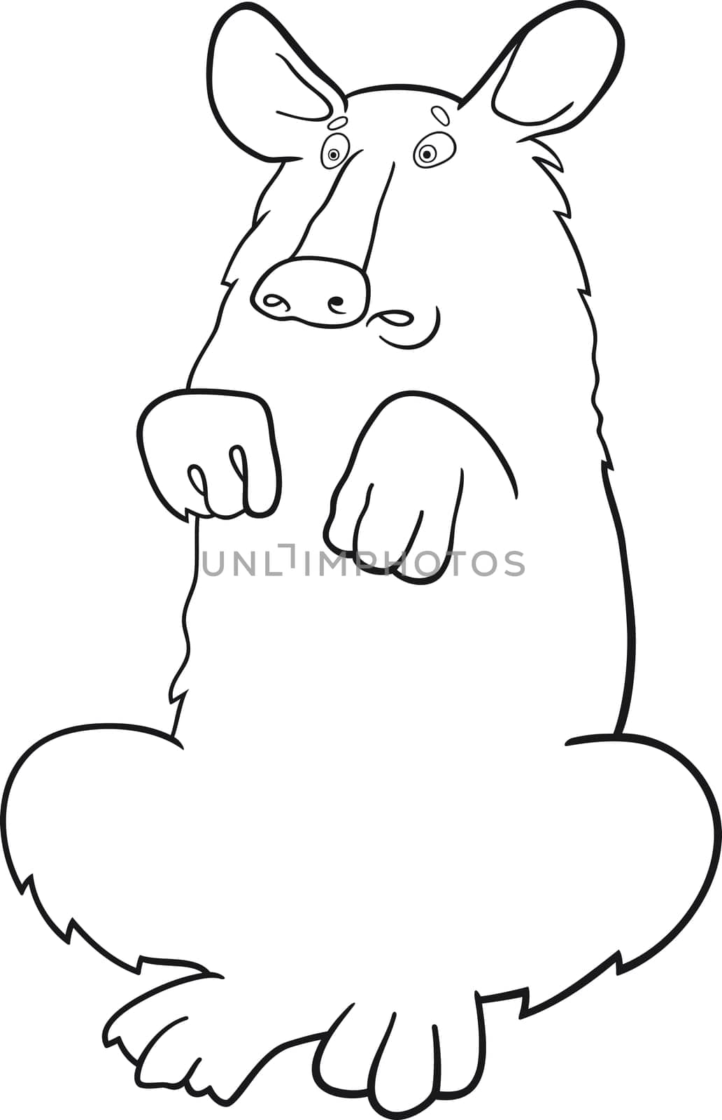 cartoon illustration of American black bear Baribal for coloring book