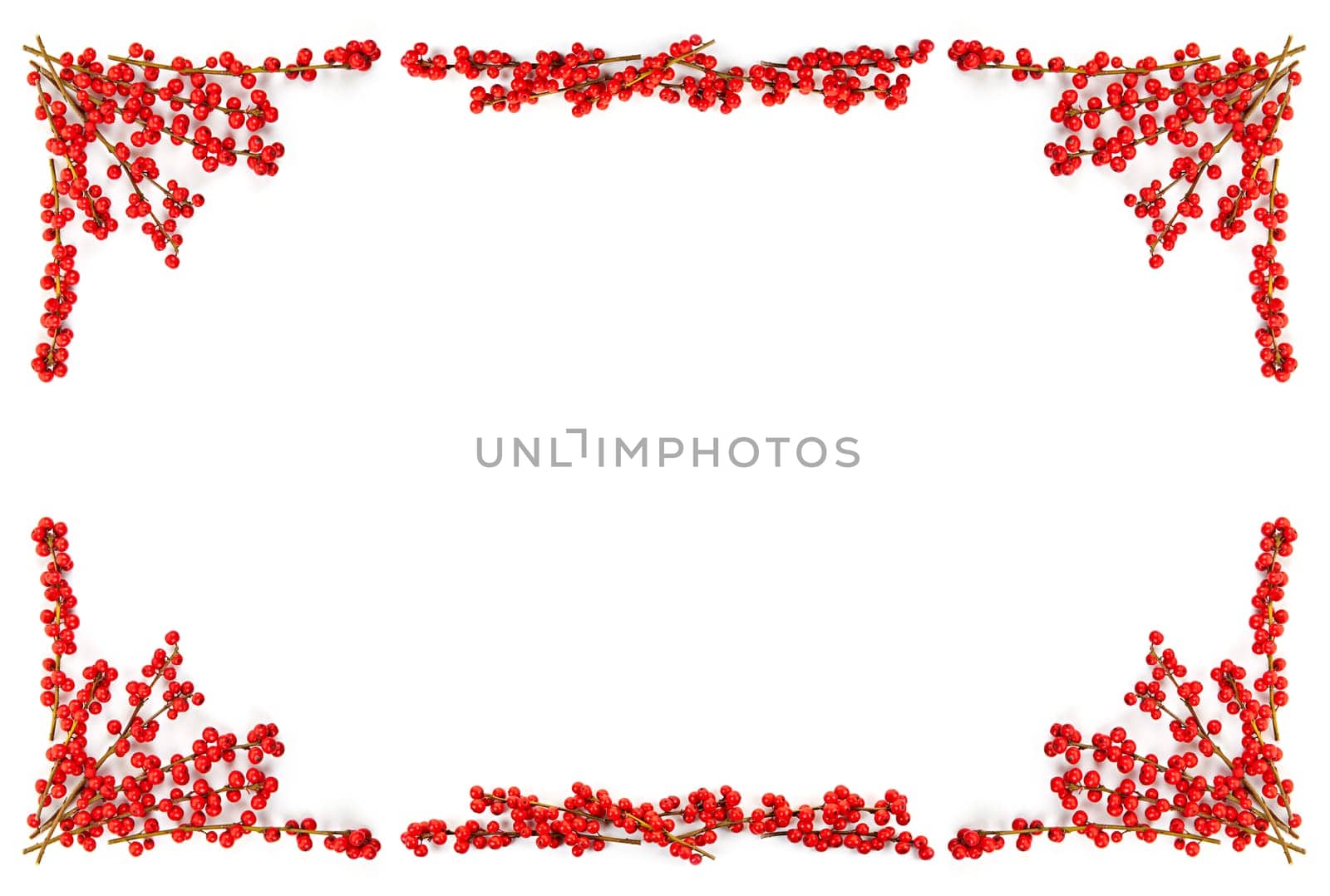 Red winterberry Christmas frame with holly berries on branches