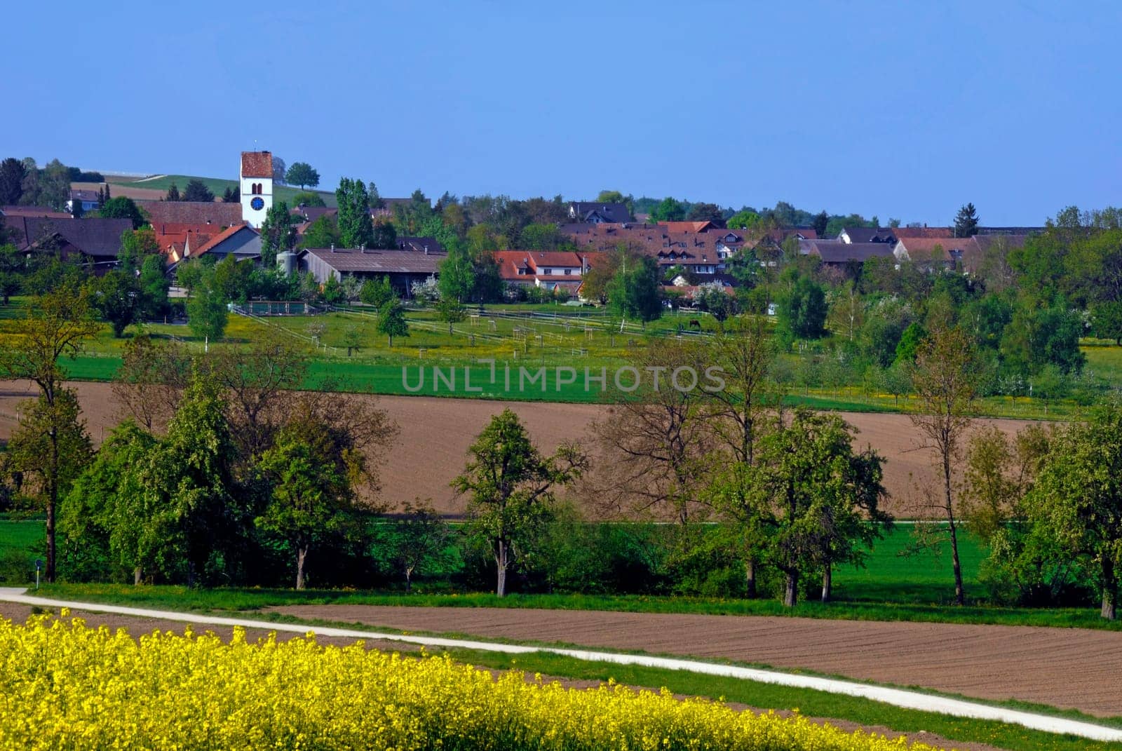 Steinmaur