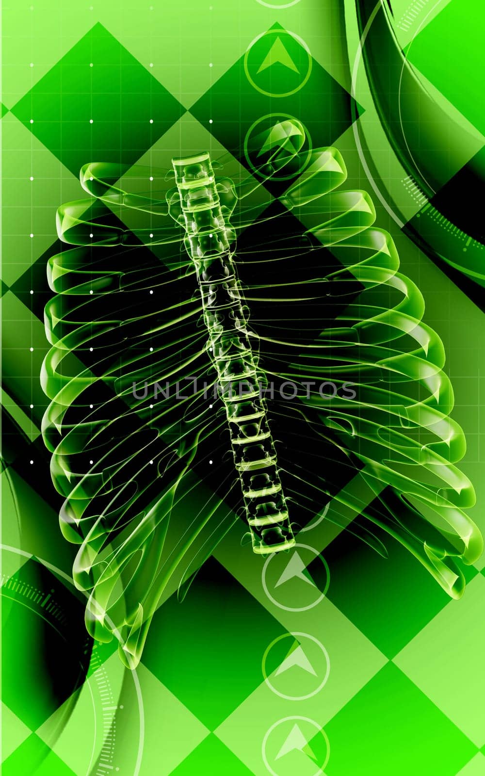 Digital illustration of rib cage in colour background