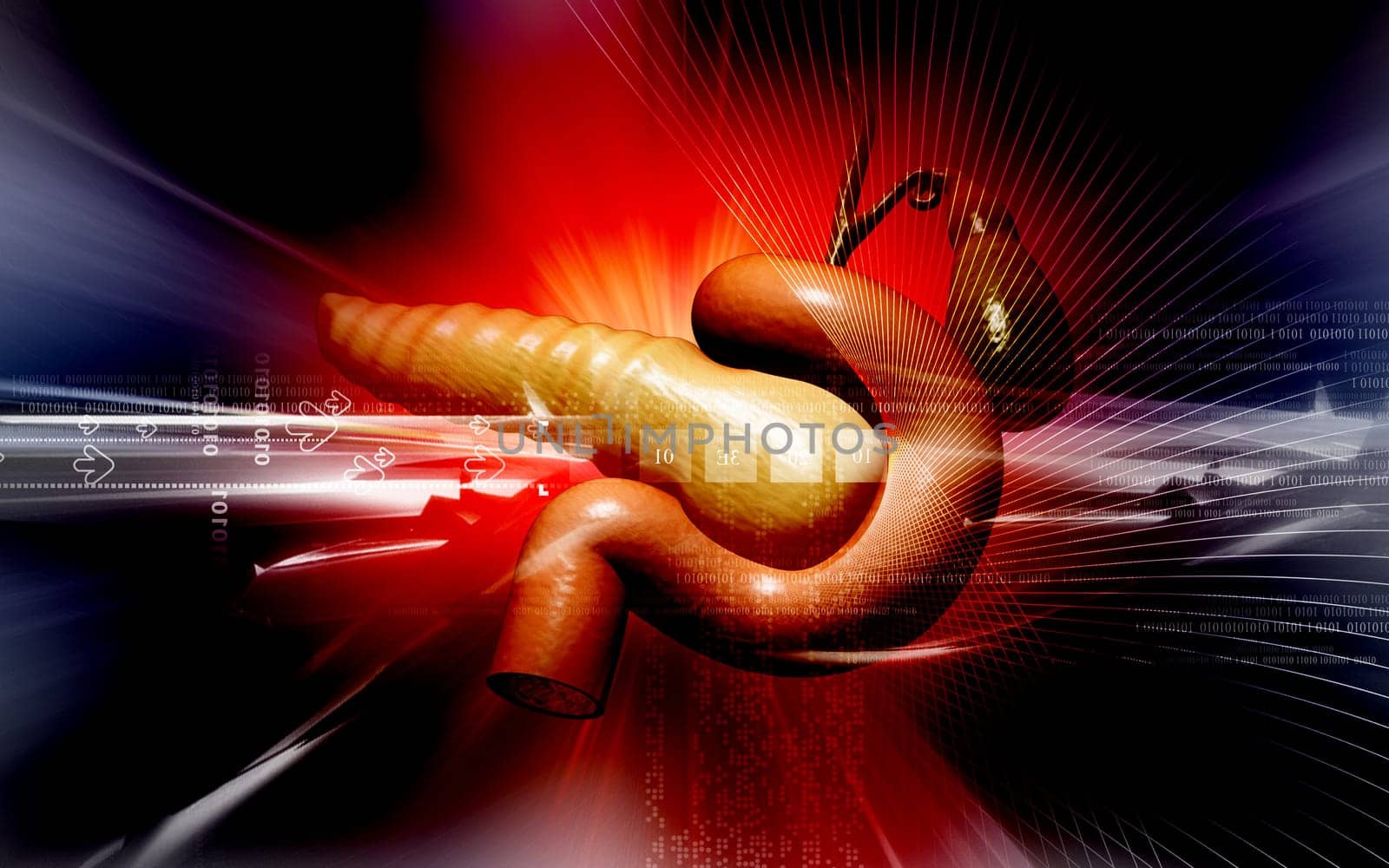 Digital illustration of pancreas in colour background