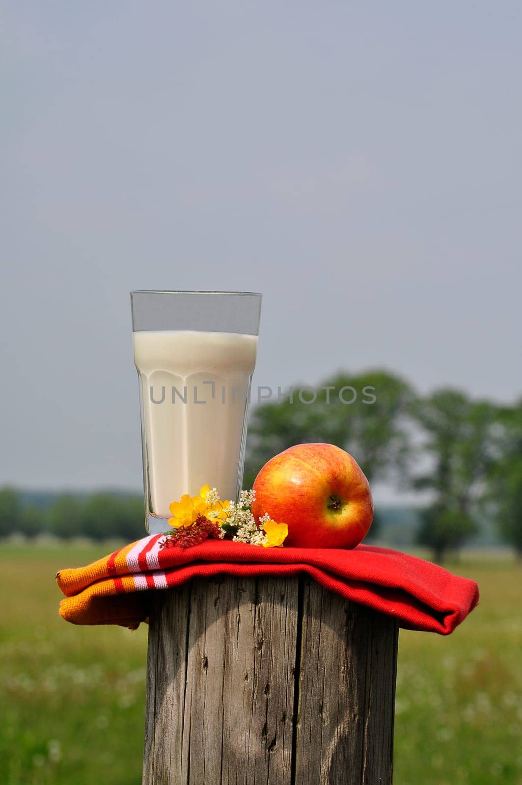 fresh milk