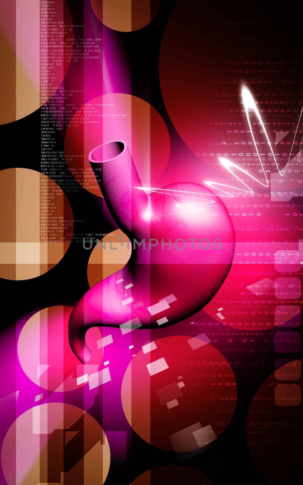 Digital illustration of stomach in colour background