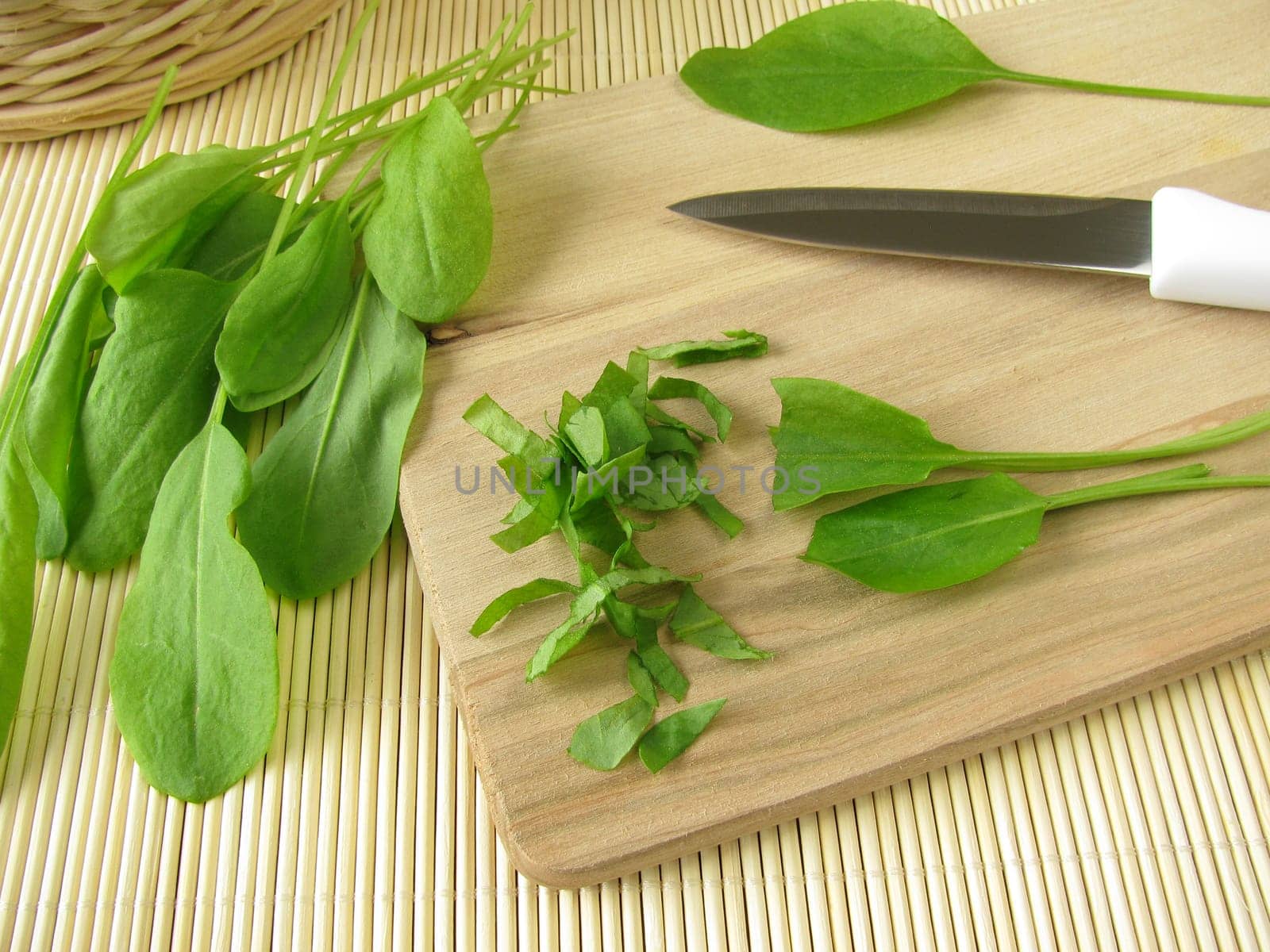 Sorrel on a wooden board