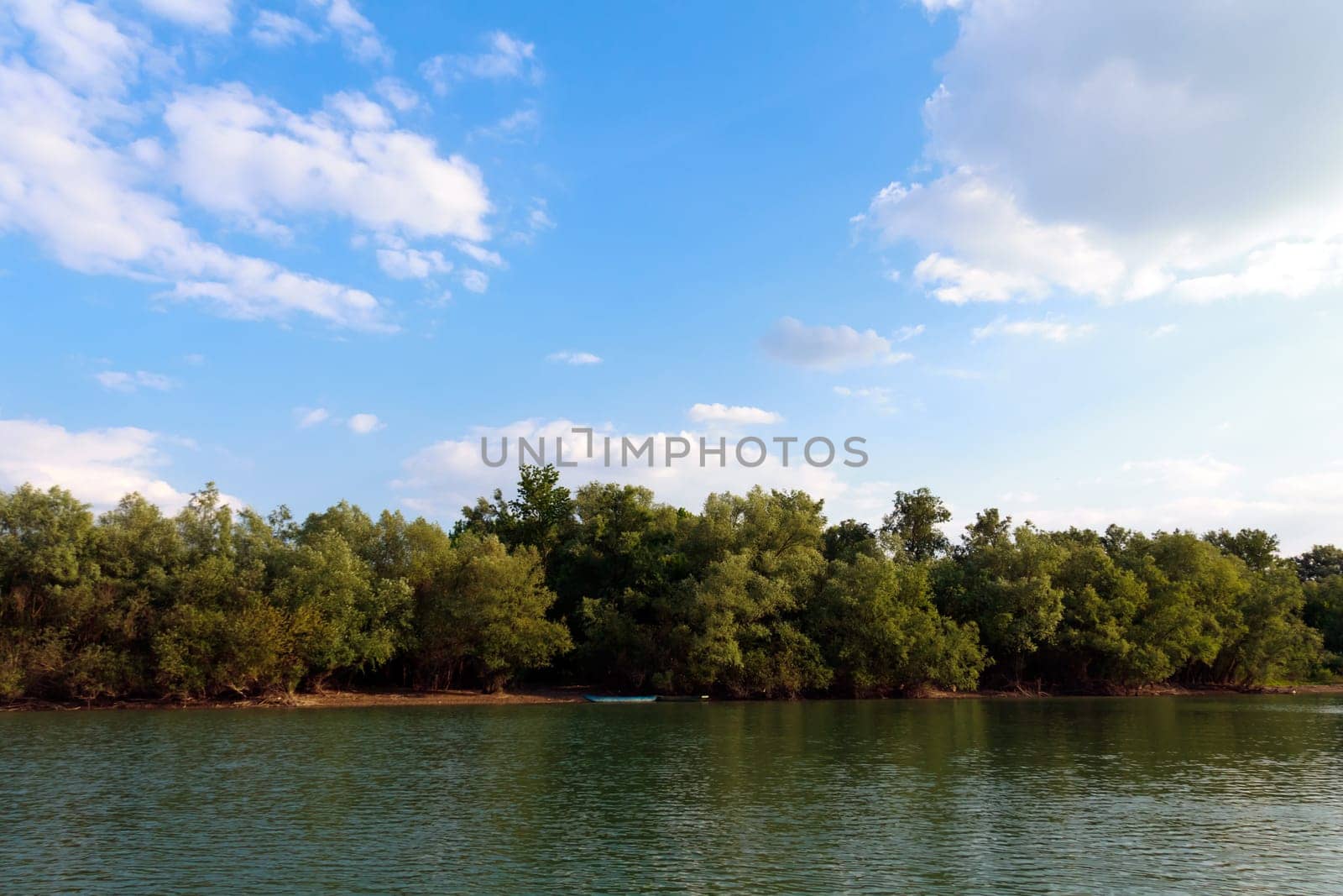 river island on the Sava River,Kupinovo,Serbia