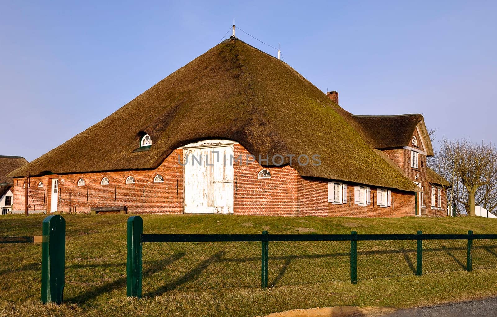 Thatched roof house