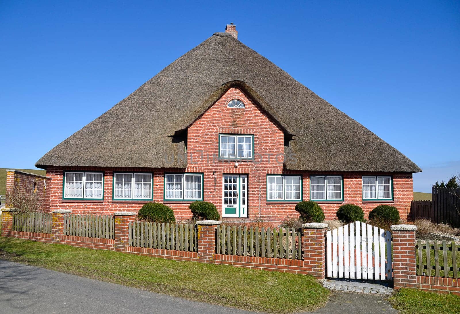 Thatched roof house