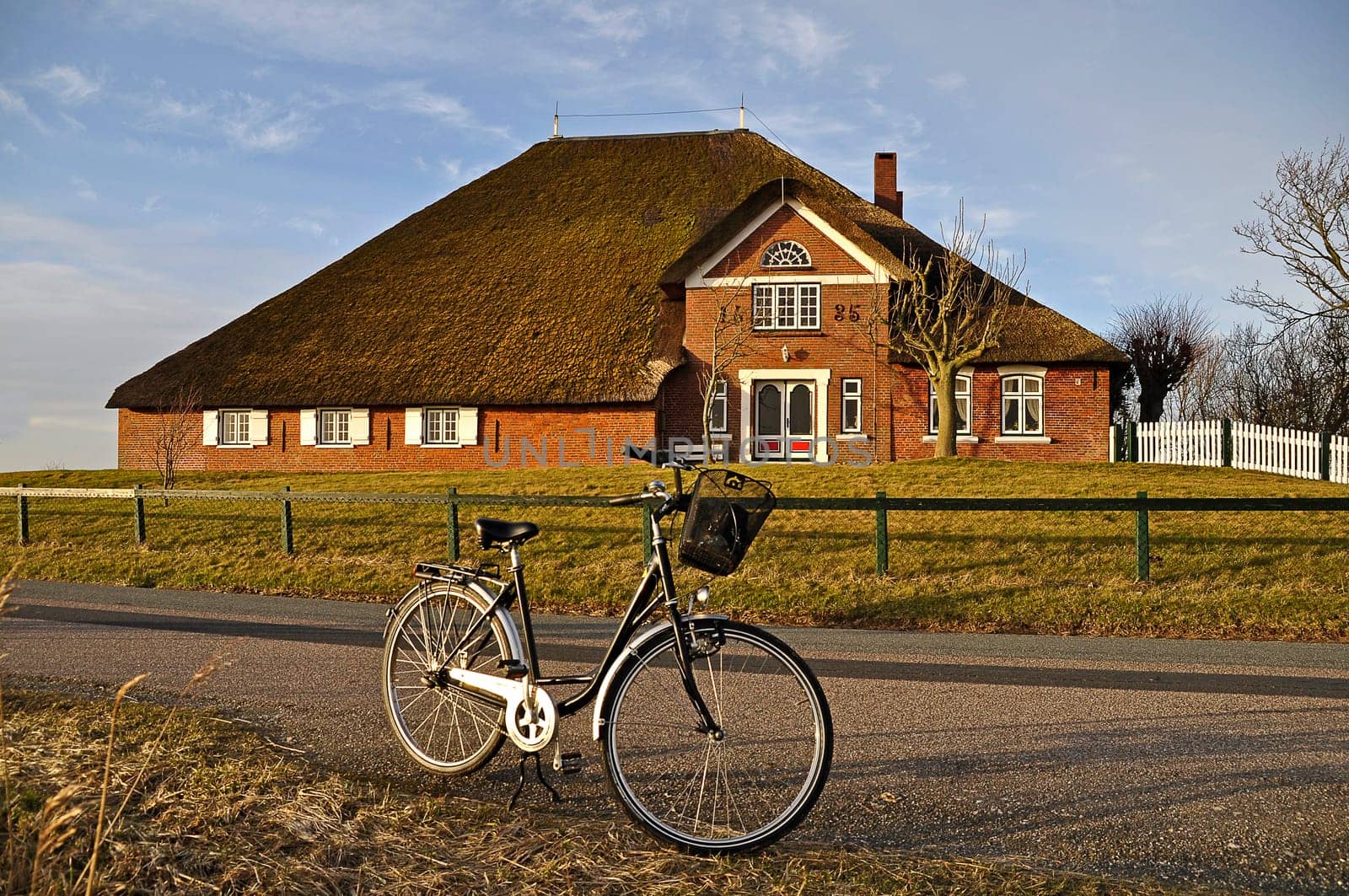 Thatched roof house