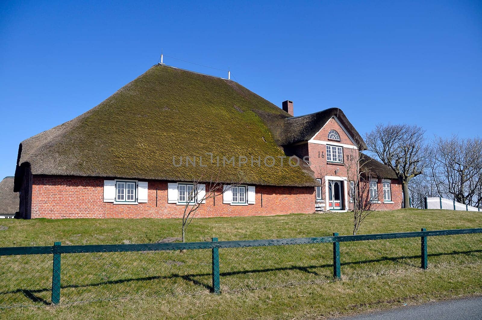 Thatched roof house