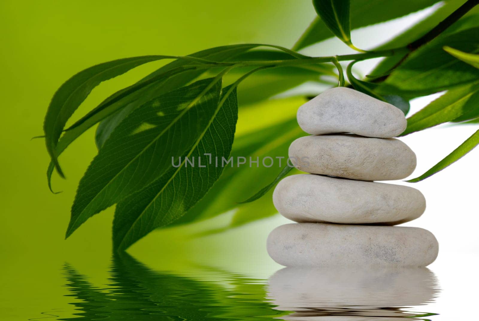 Zen