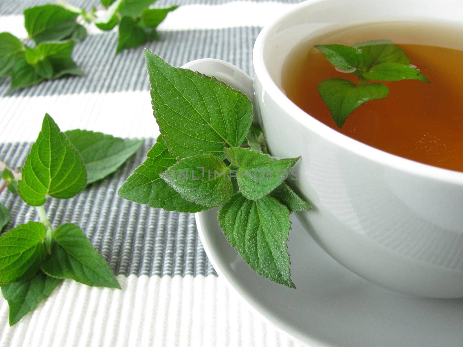 Tea with honeydew melon sage