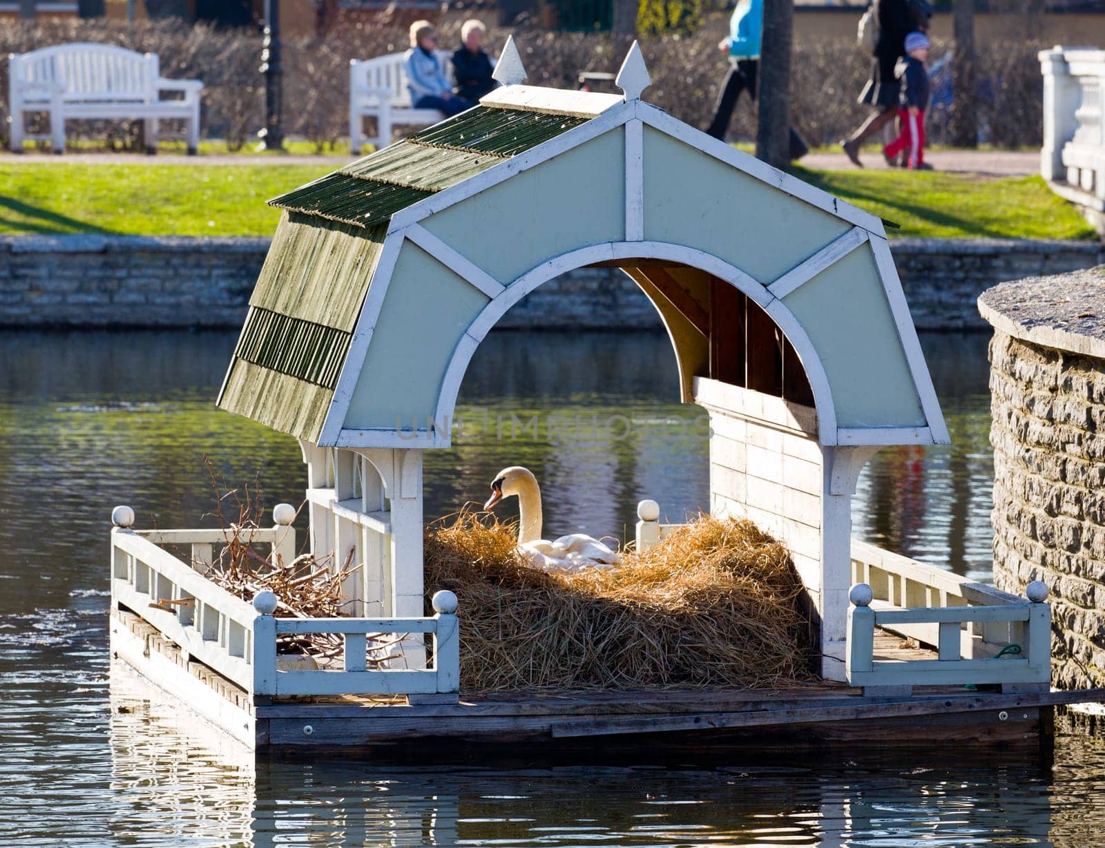 Ornate Swan house and nest in the ornamental pond in Kadriorg gardens by the palace in Tallinn Estonia