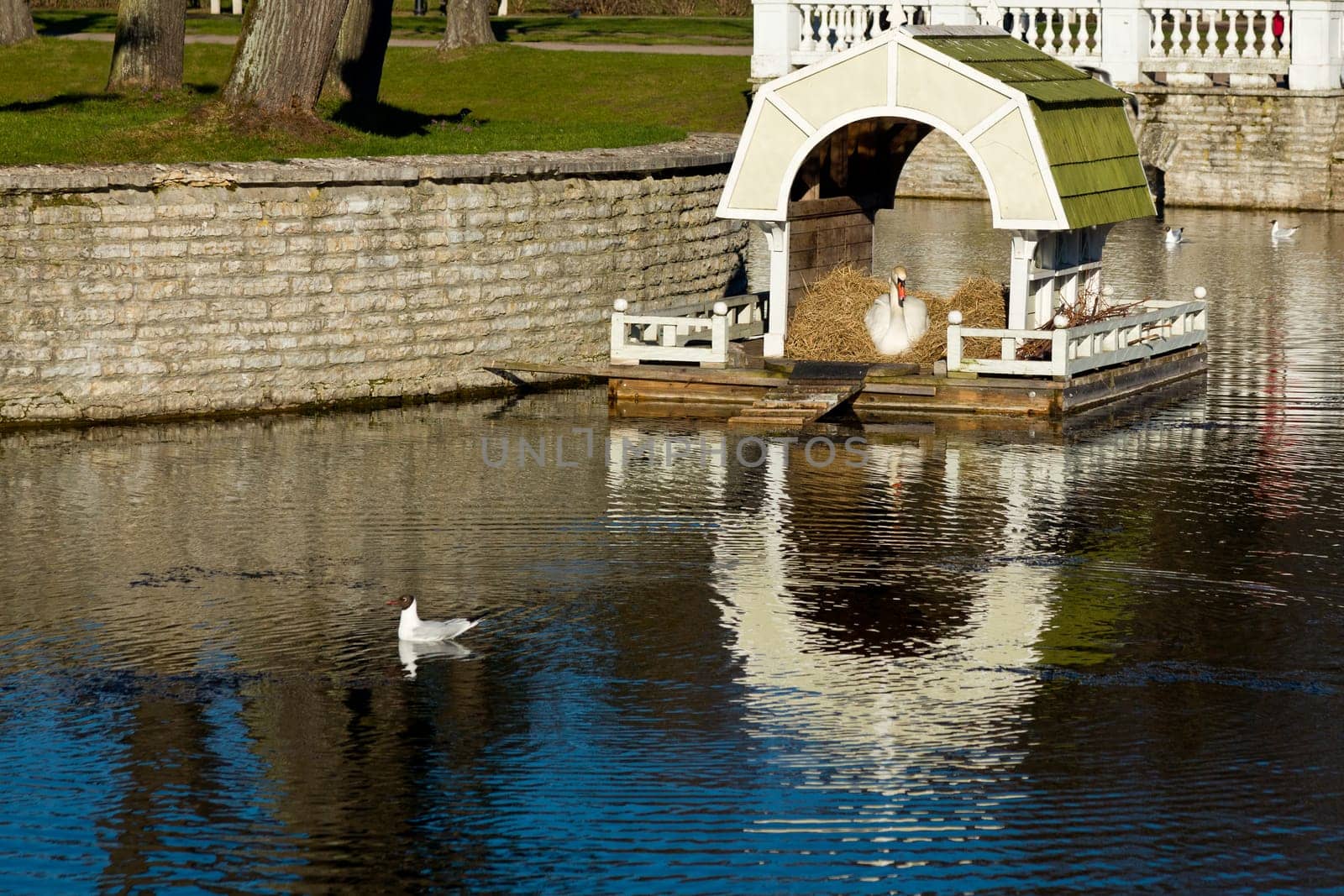 Ornate Swan house and nest in the ornamental pond in Kadriorg gardens by the palace in Tallinn Estonia