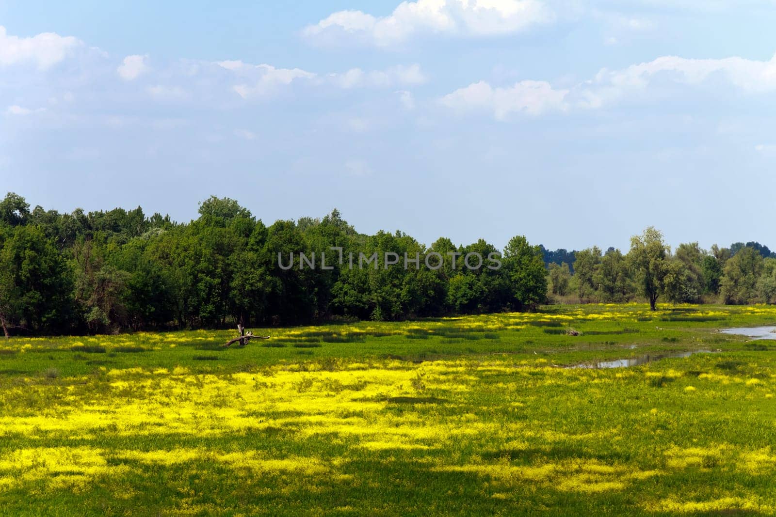 Ried,and nature reserve,Obeda