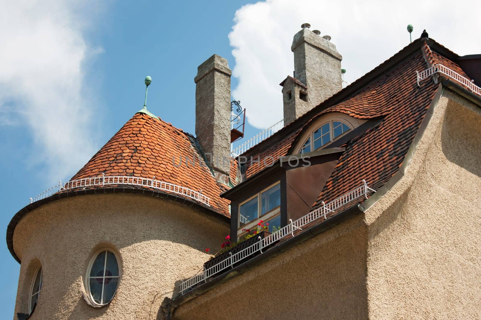 Very nice roof of a big house