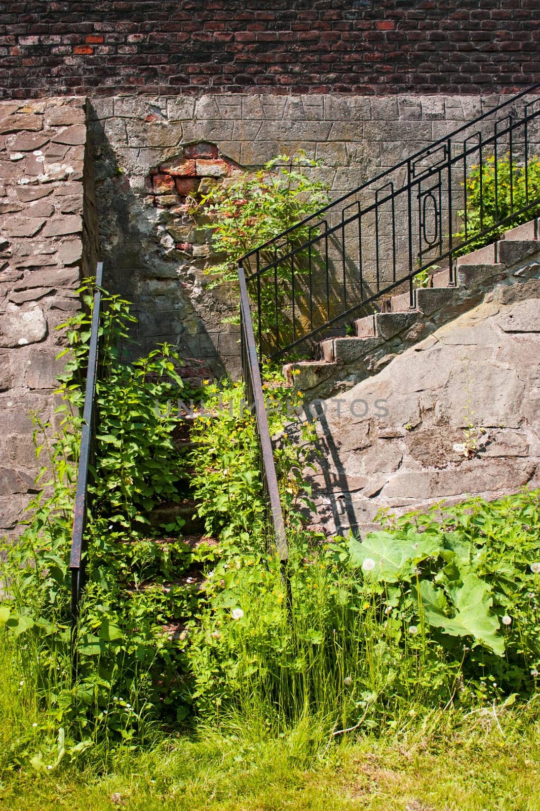 Old stairs abandoned and covered of vegetation