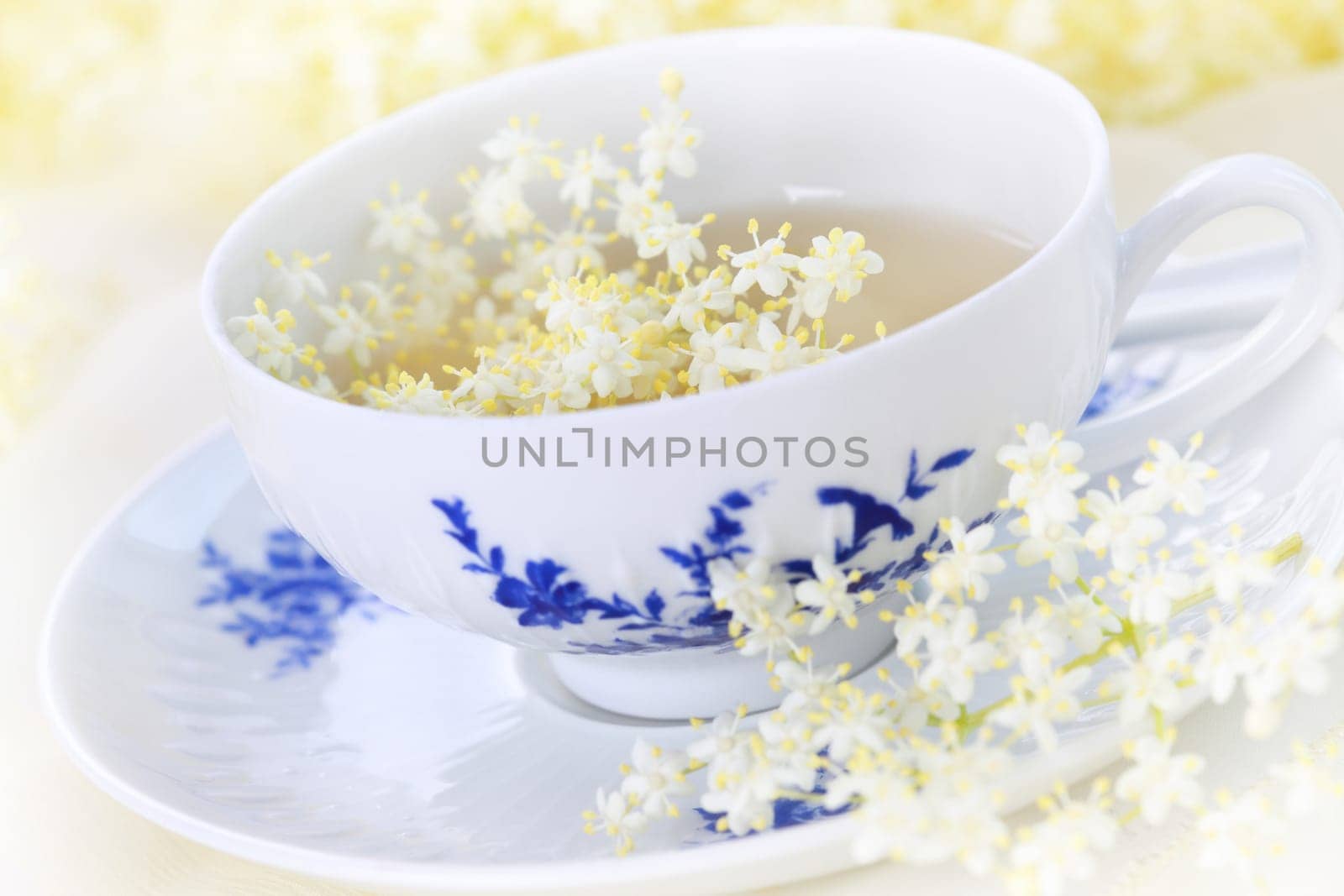 Healthy and delicious elder flower tea