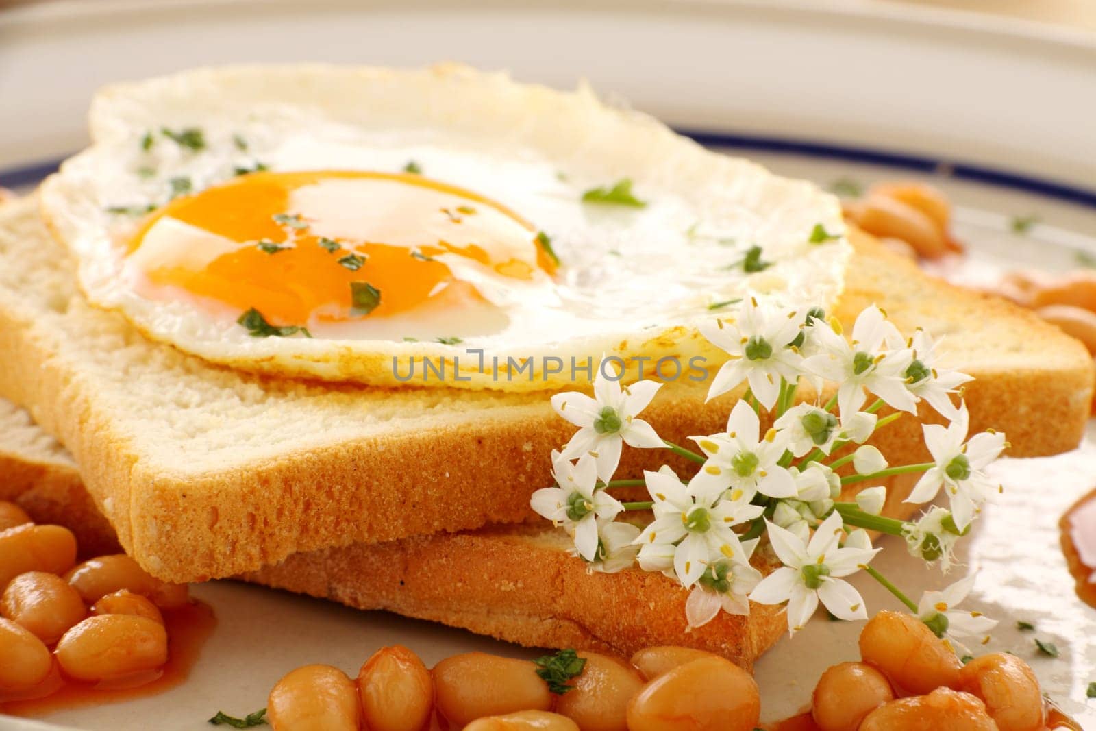 Fried on toast with garlic chive flowers and baked beans.