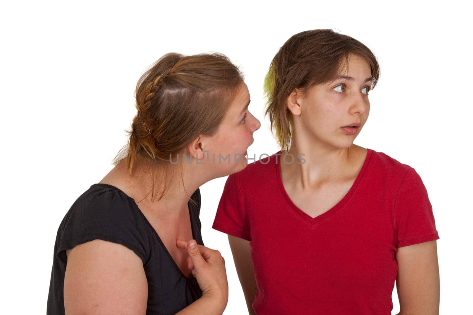 Arguing women on white background