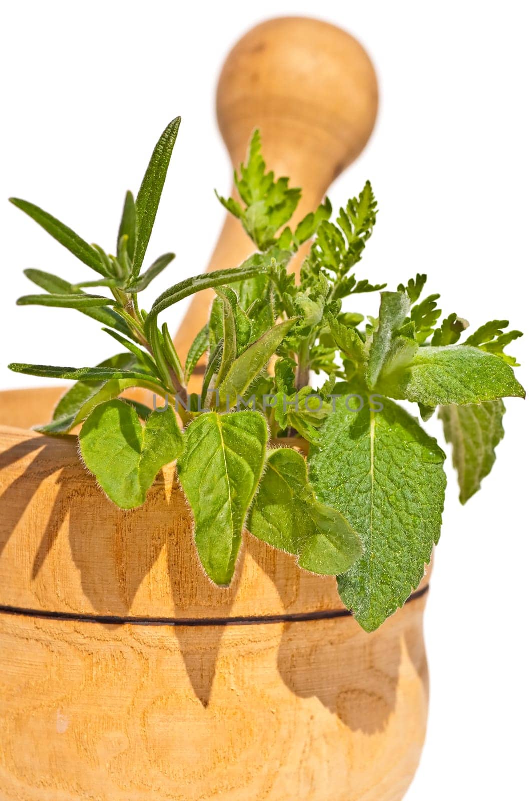 Mortar with herbs