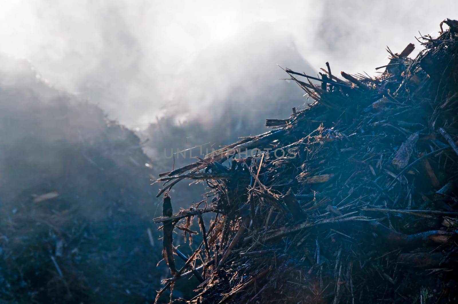 Steaming the compost heap