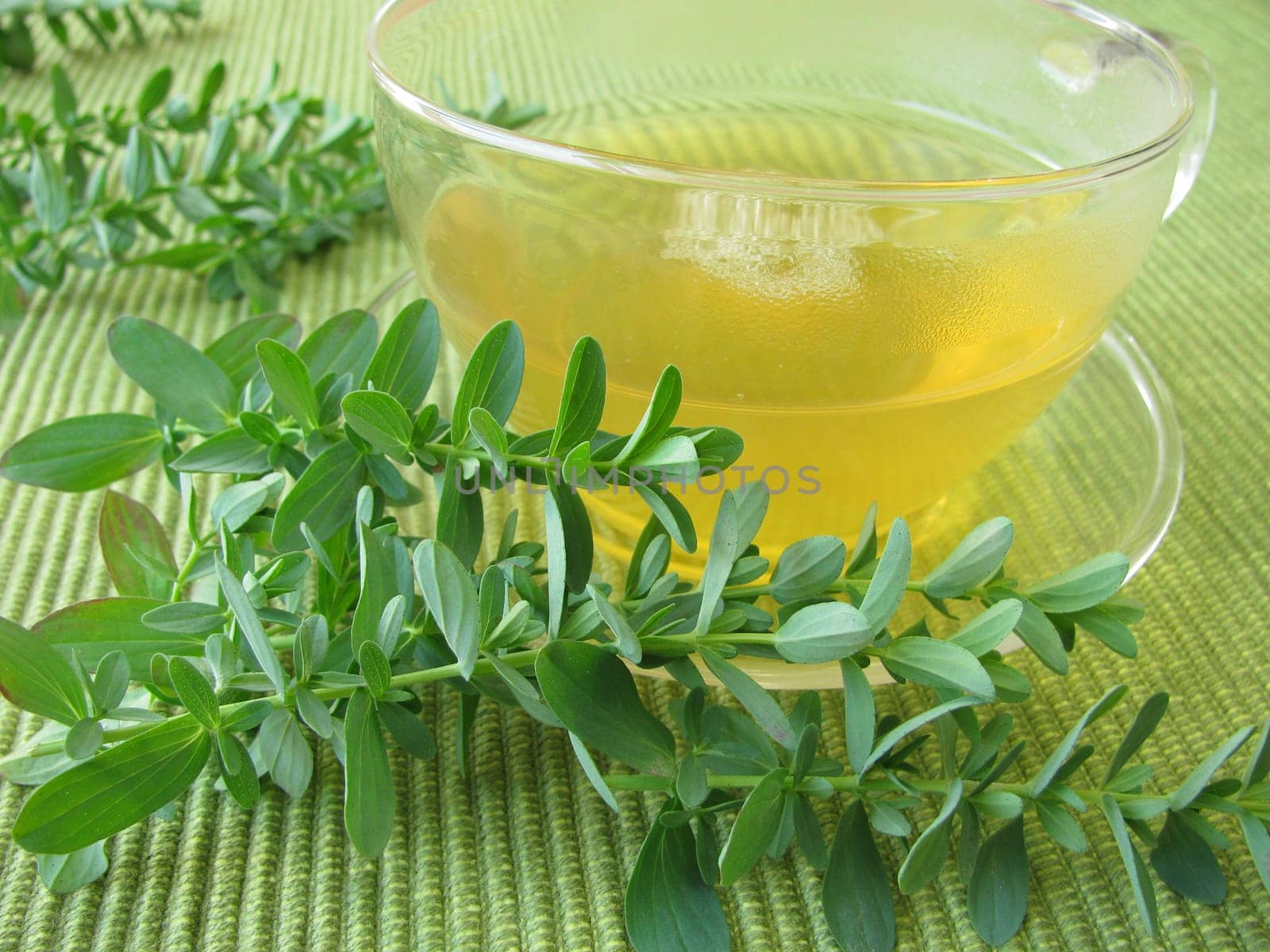 Tea with St. John's wort