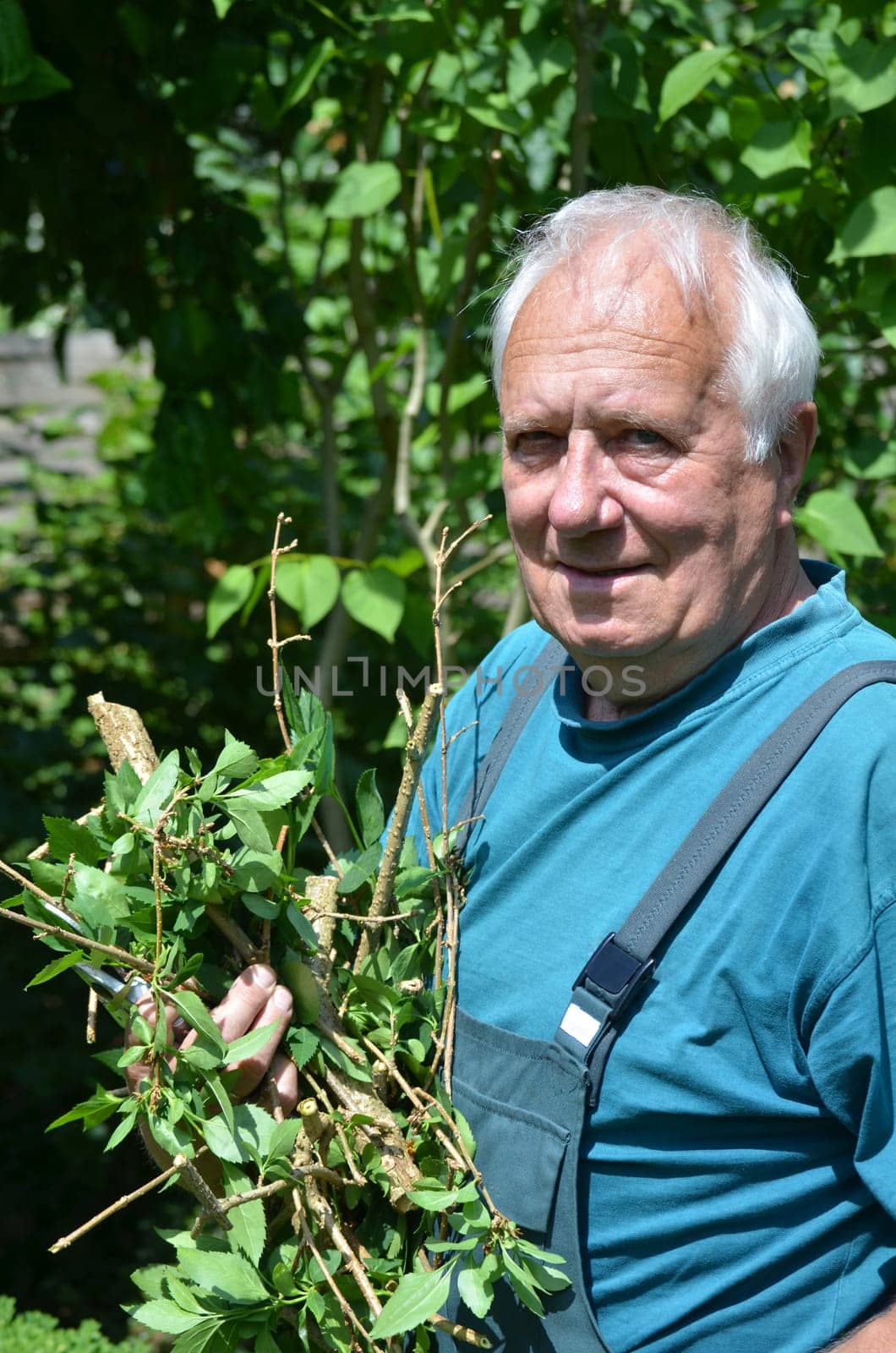 Senior gardening