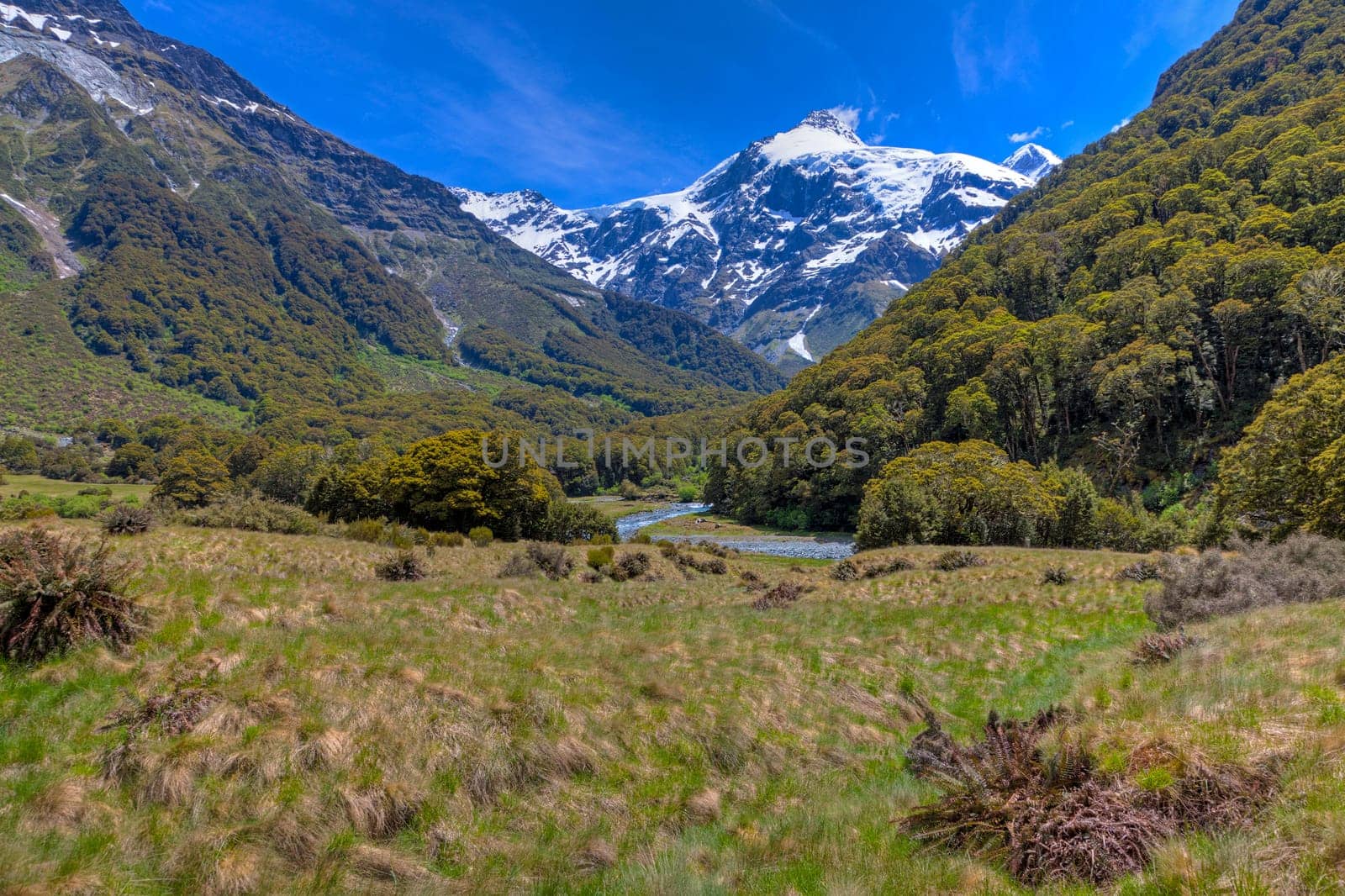 The upper Wilkin river valley on the south island of New Zealand