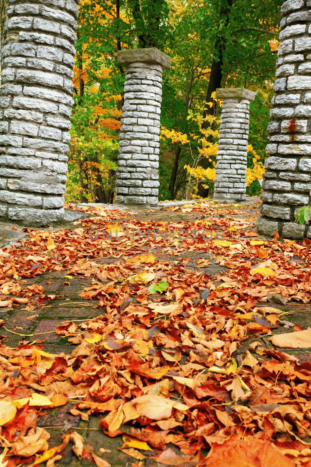 Fall leaves strewn upon a brick walkway