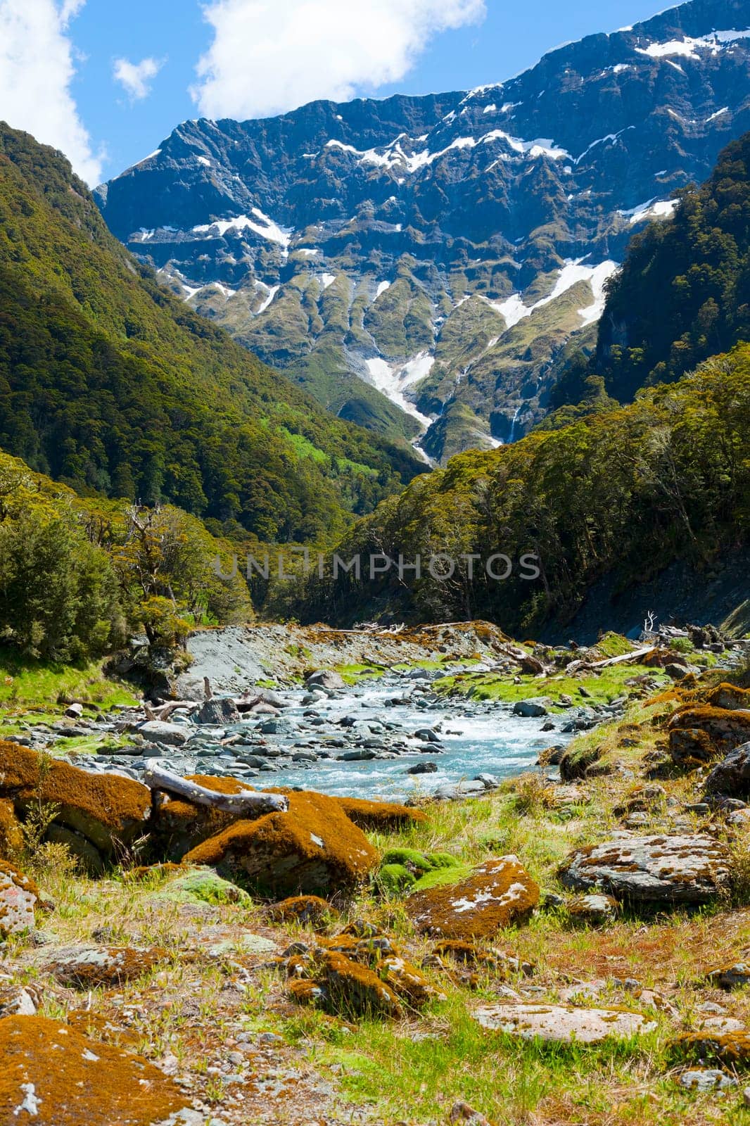 The upper Wilkin river valley on the south island of New Zealand