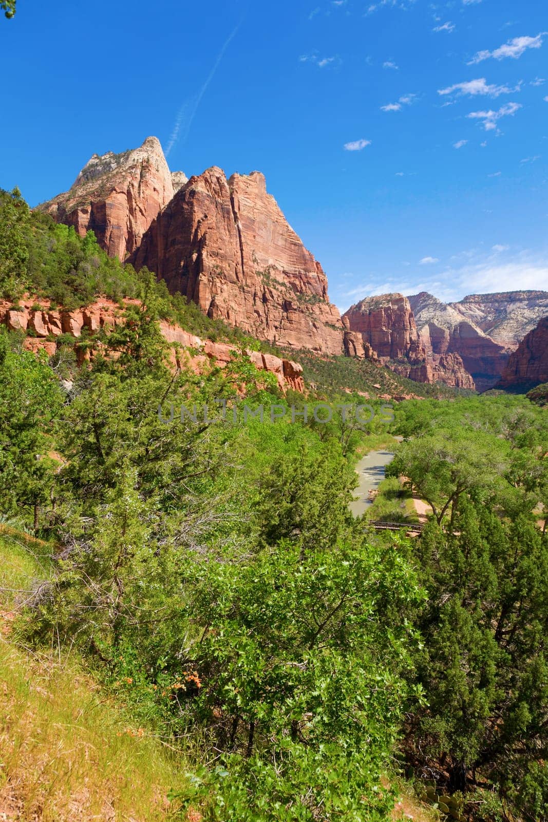 View of the Virgin river as it winds through Zion national park