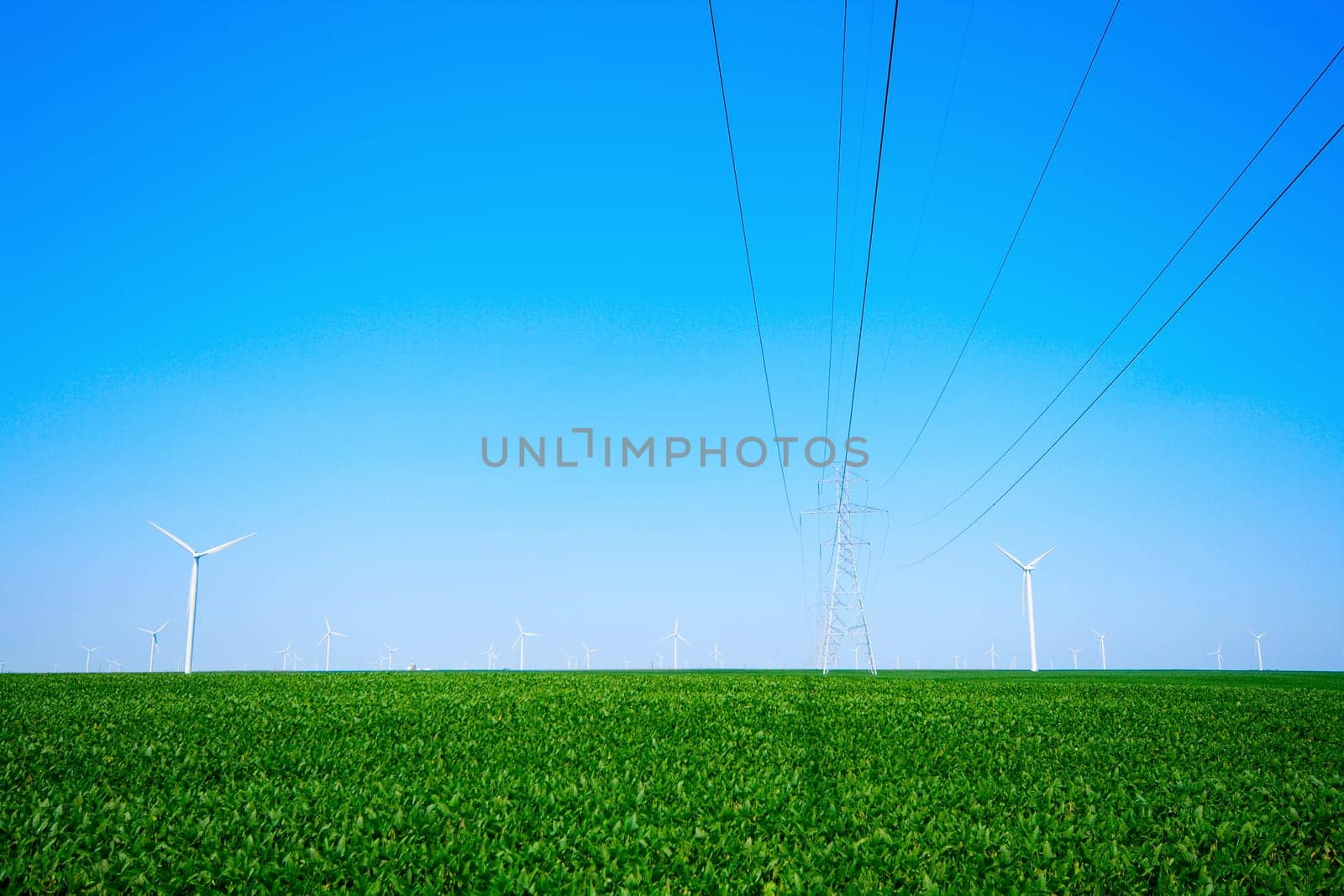 Wind turbines on a farm in blue skies