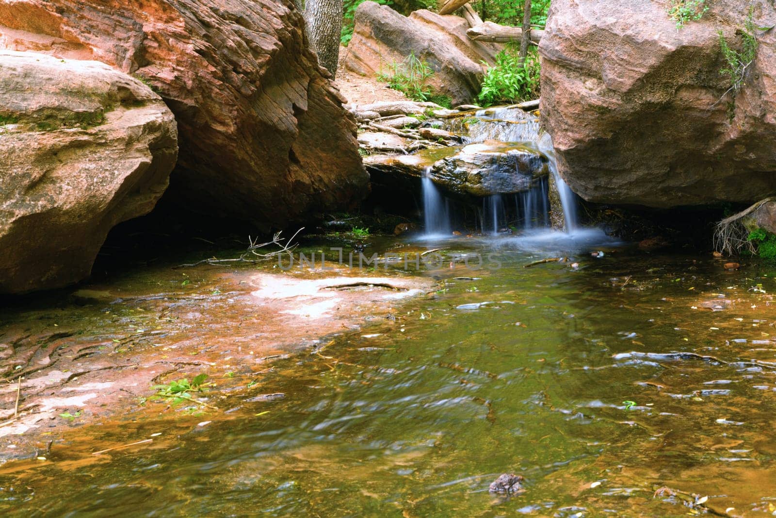 A small waterfall along the trail in Zion National Park