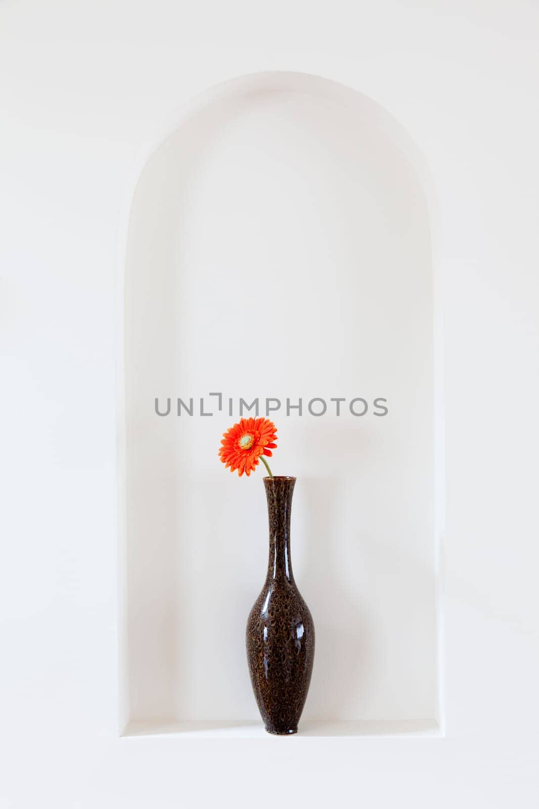 Vase with a single red flower on a wall alcove
