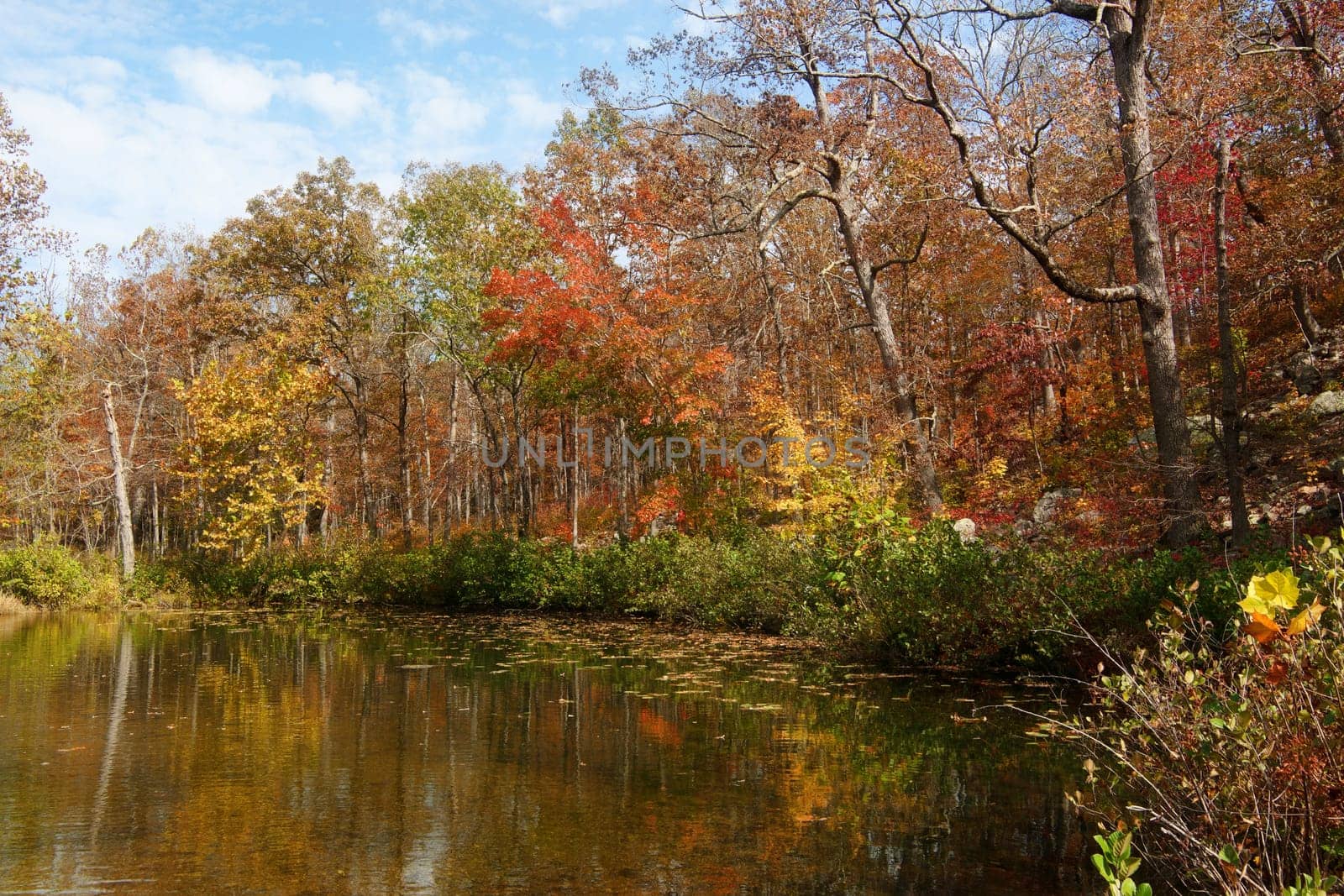beautiful scene of missouri in autumn or fall