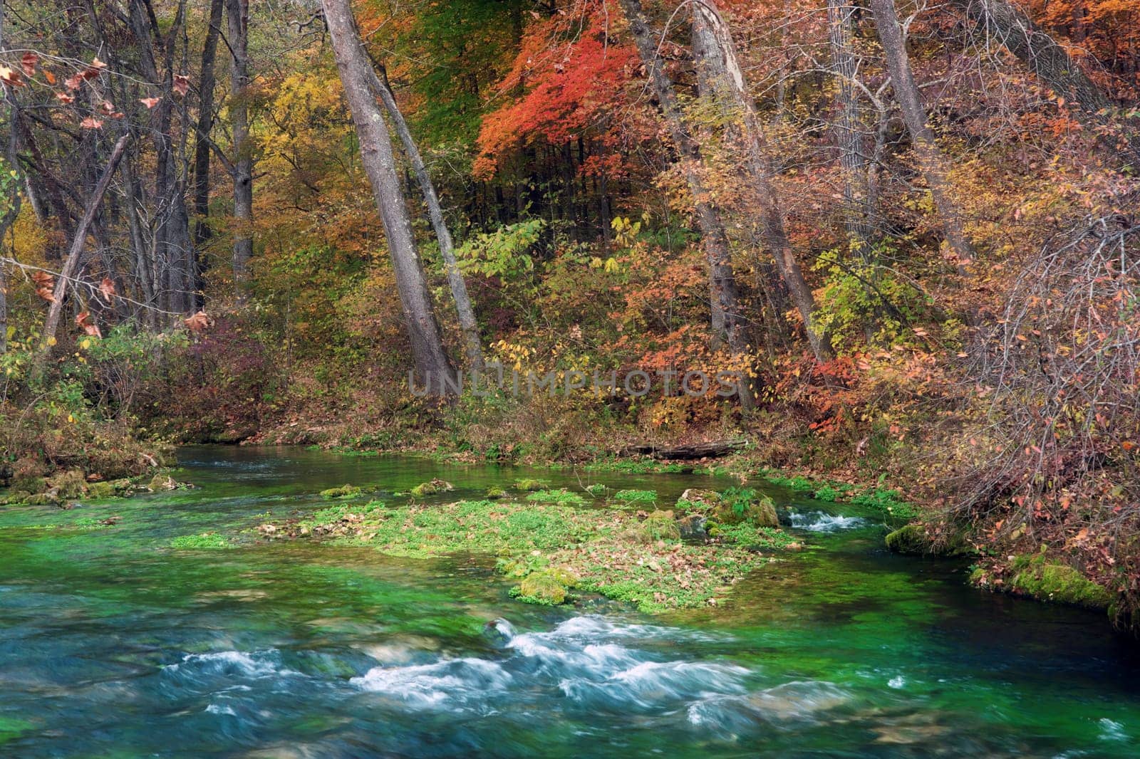beautiful scene of missouri in autumn or fall