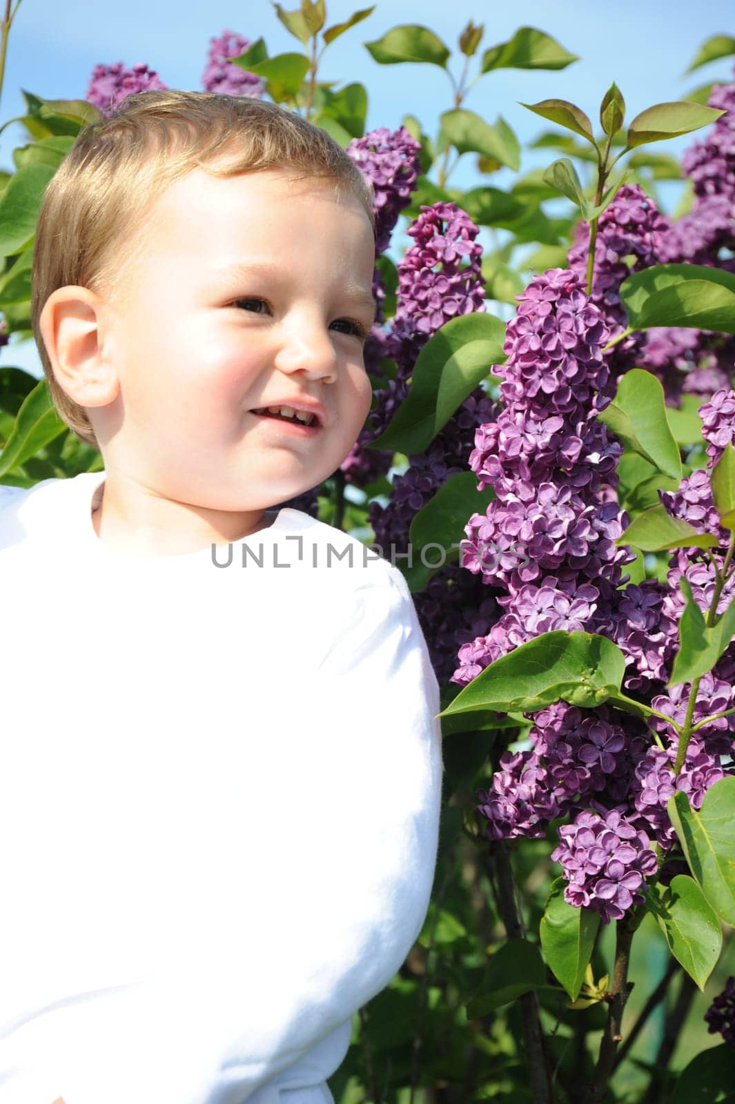 Portrait - 2 year old boy -