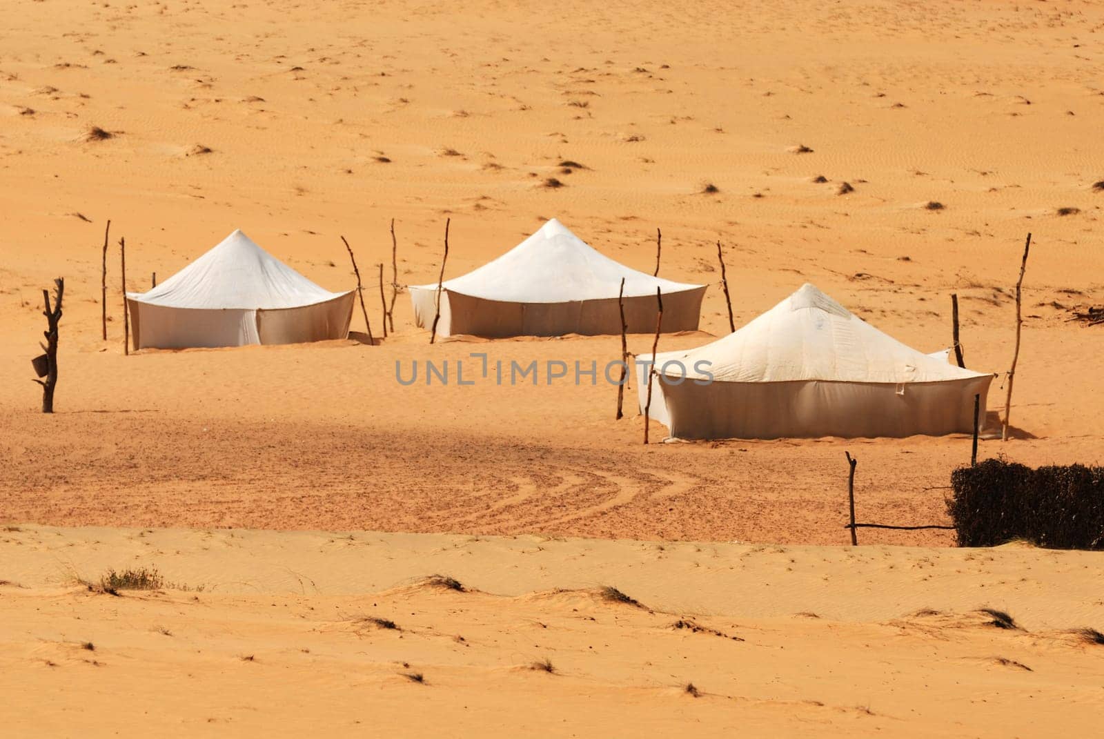 Bedouin tent in Sahara Desert, Africa